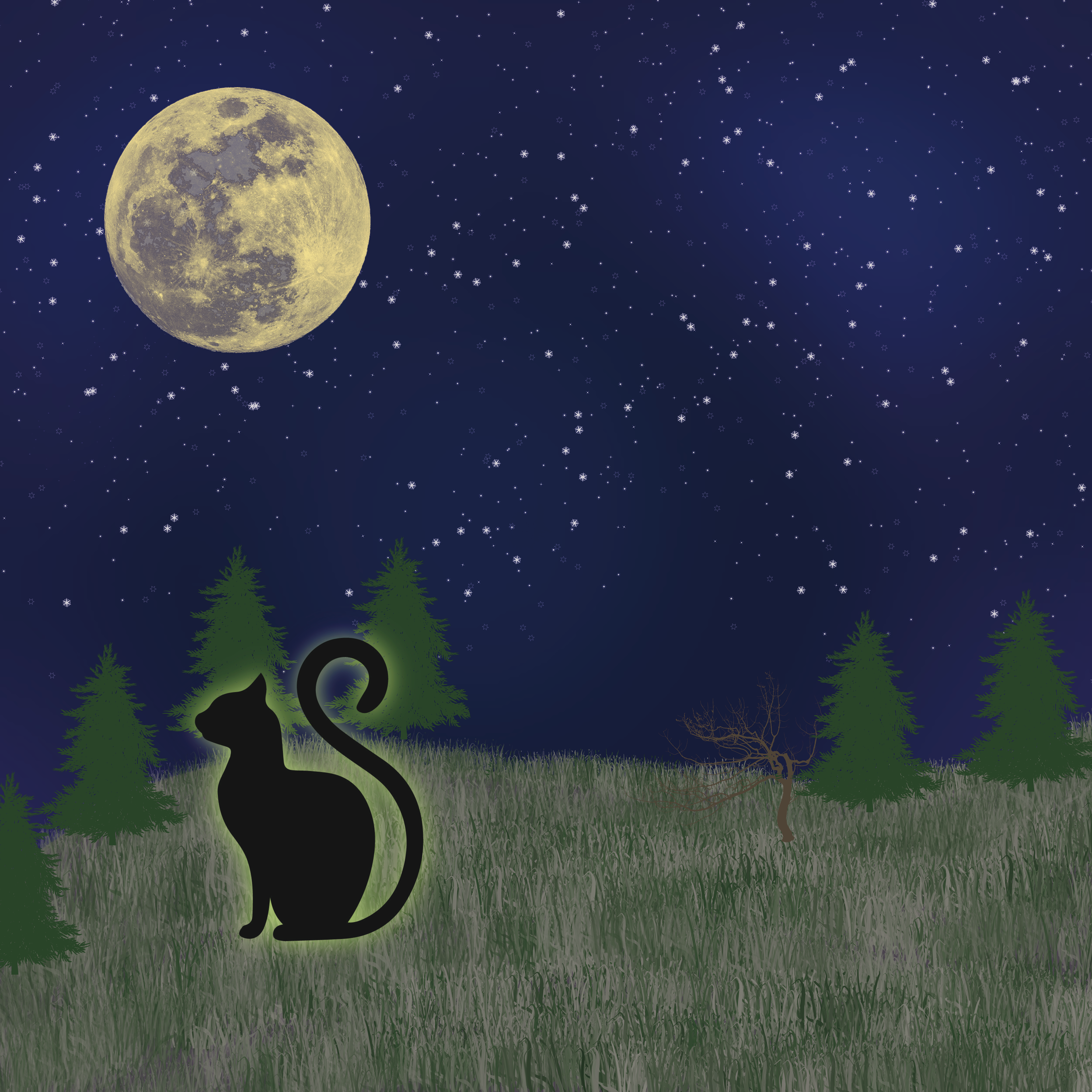 Black Cat