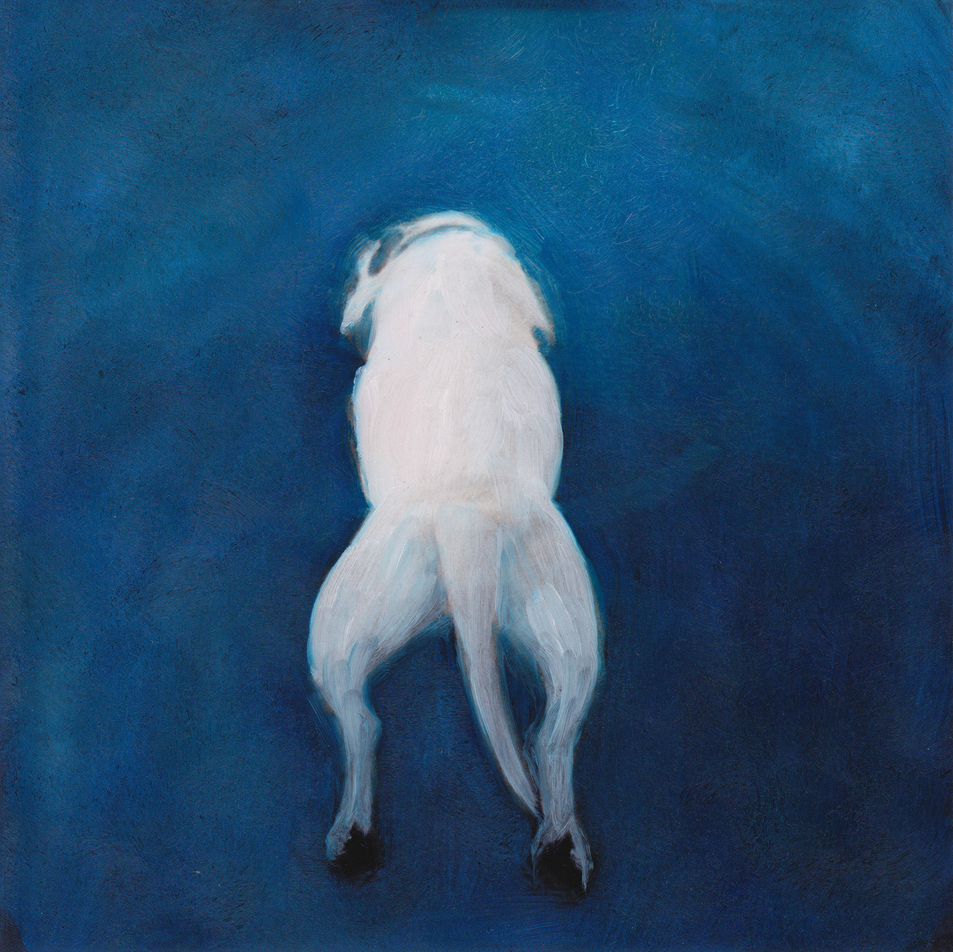 "Ice away" oil on photo