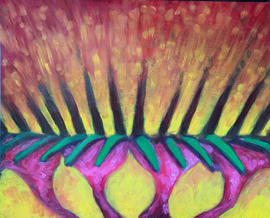 "misgivings"