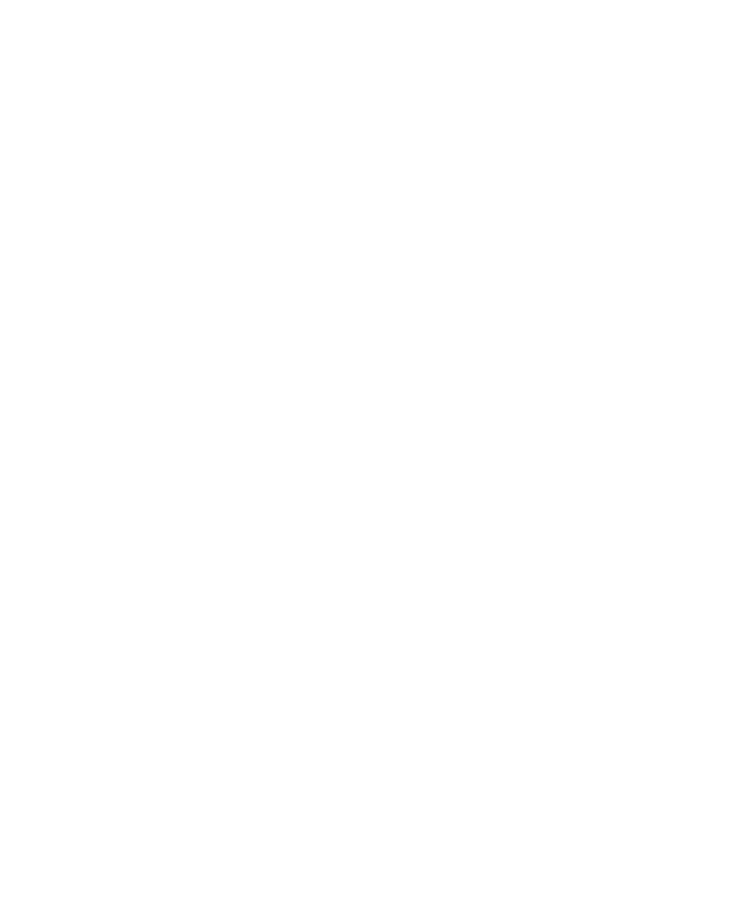 jafet-ramirez-branding