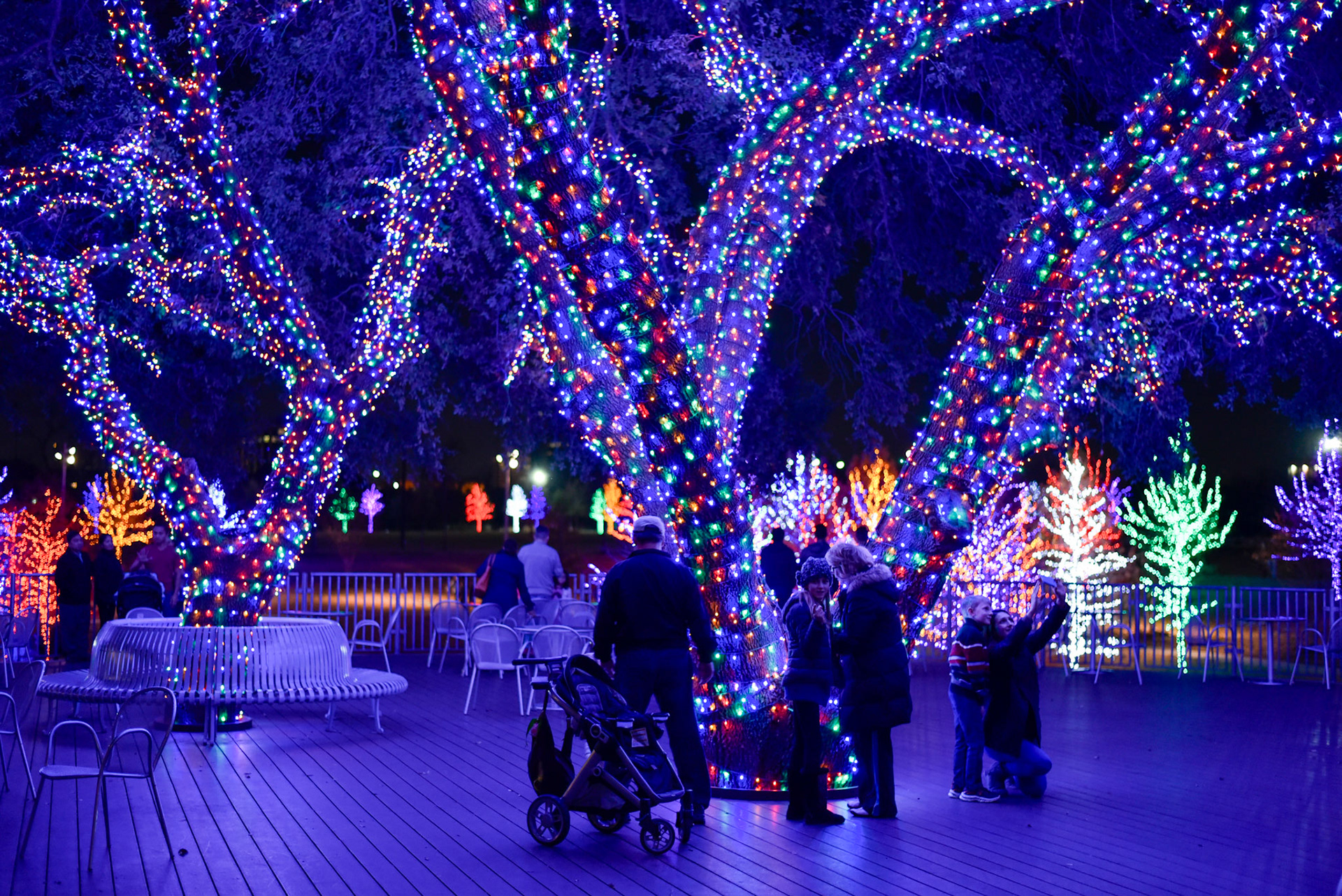 Vitruvian Park Lights 2015