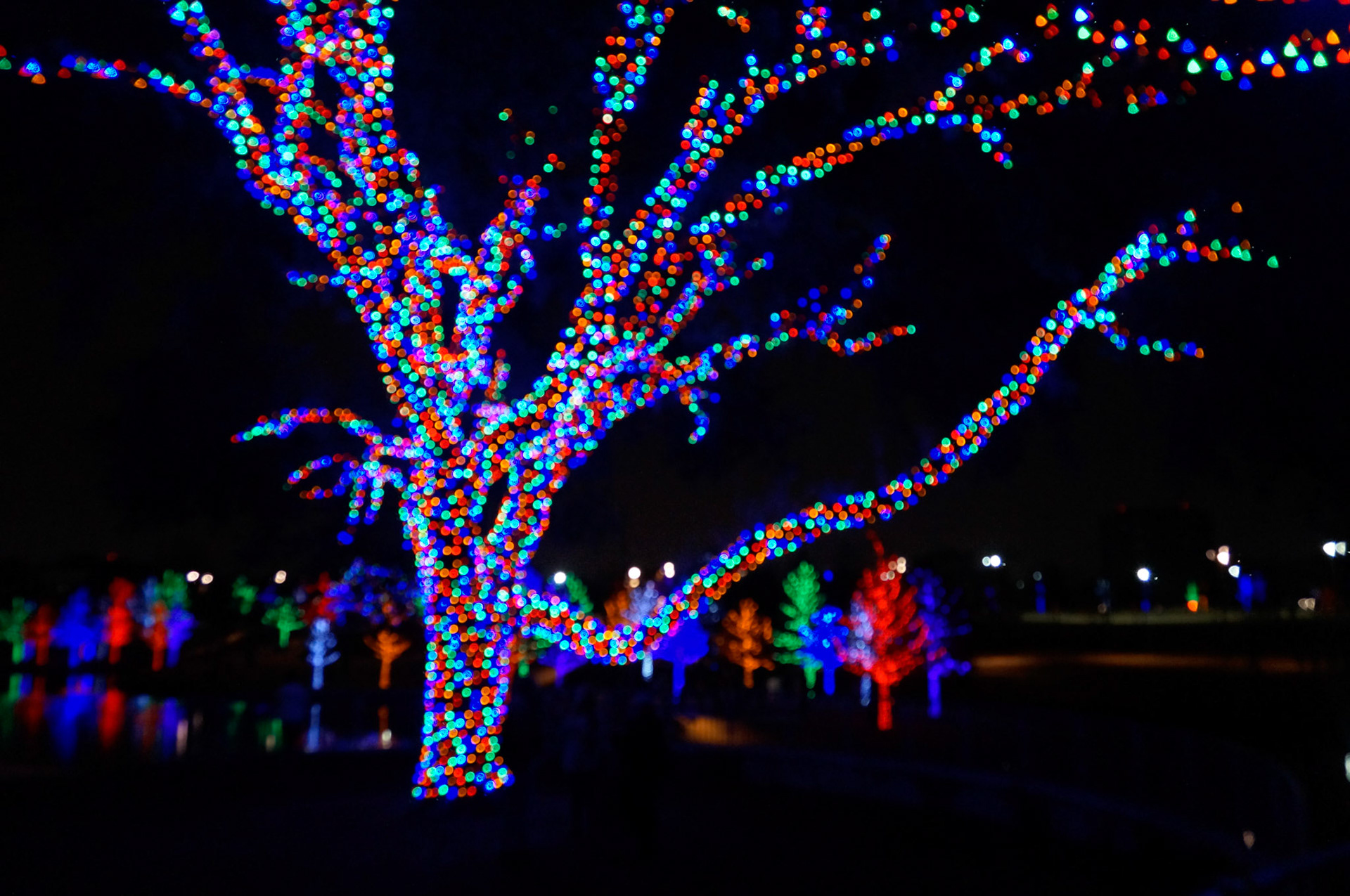 Vitruvian Park Lights