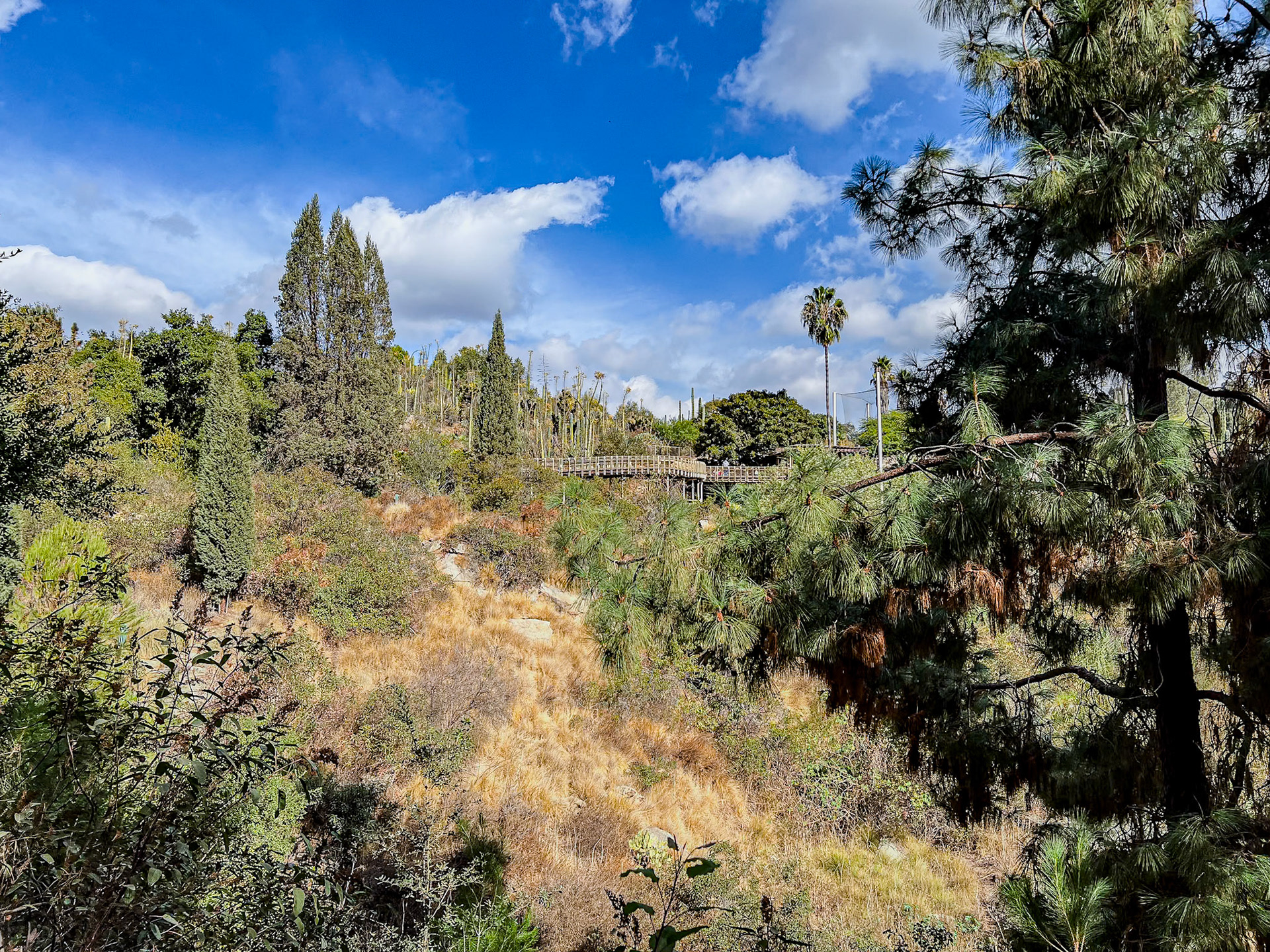 San Diego Zoo Safari