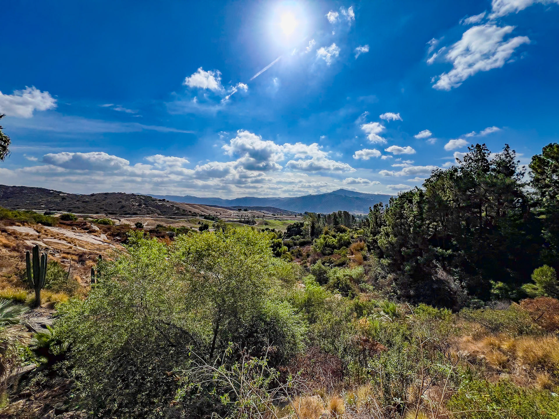 San Diego Zoo Safari