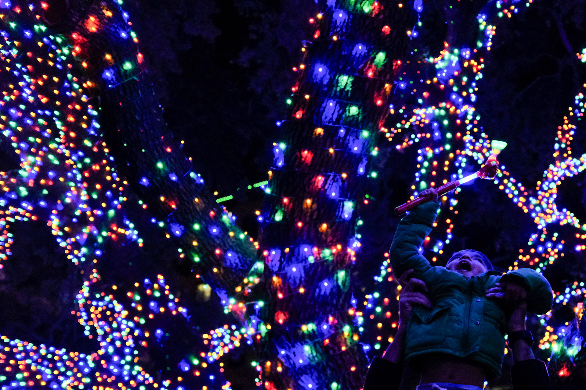 Vitruvian Park Lights
