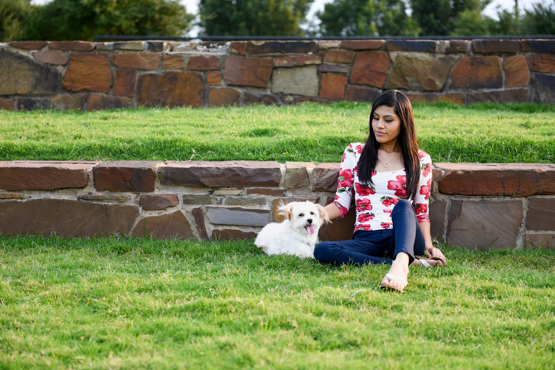 150830_daisy_032.JPG