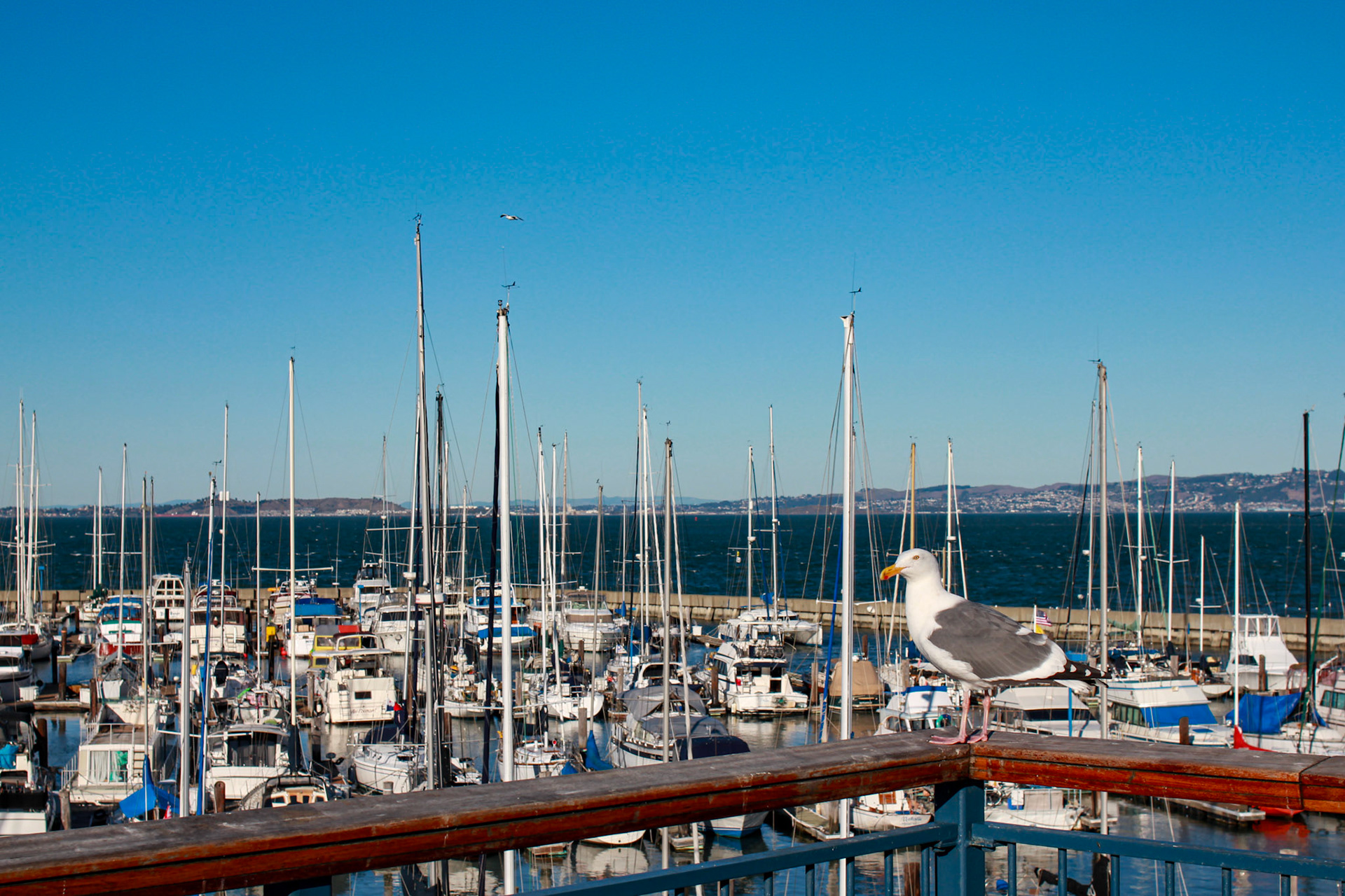 Fisherman Wahrf San Francisco