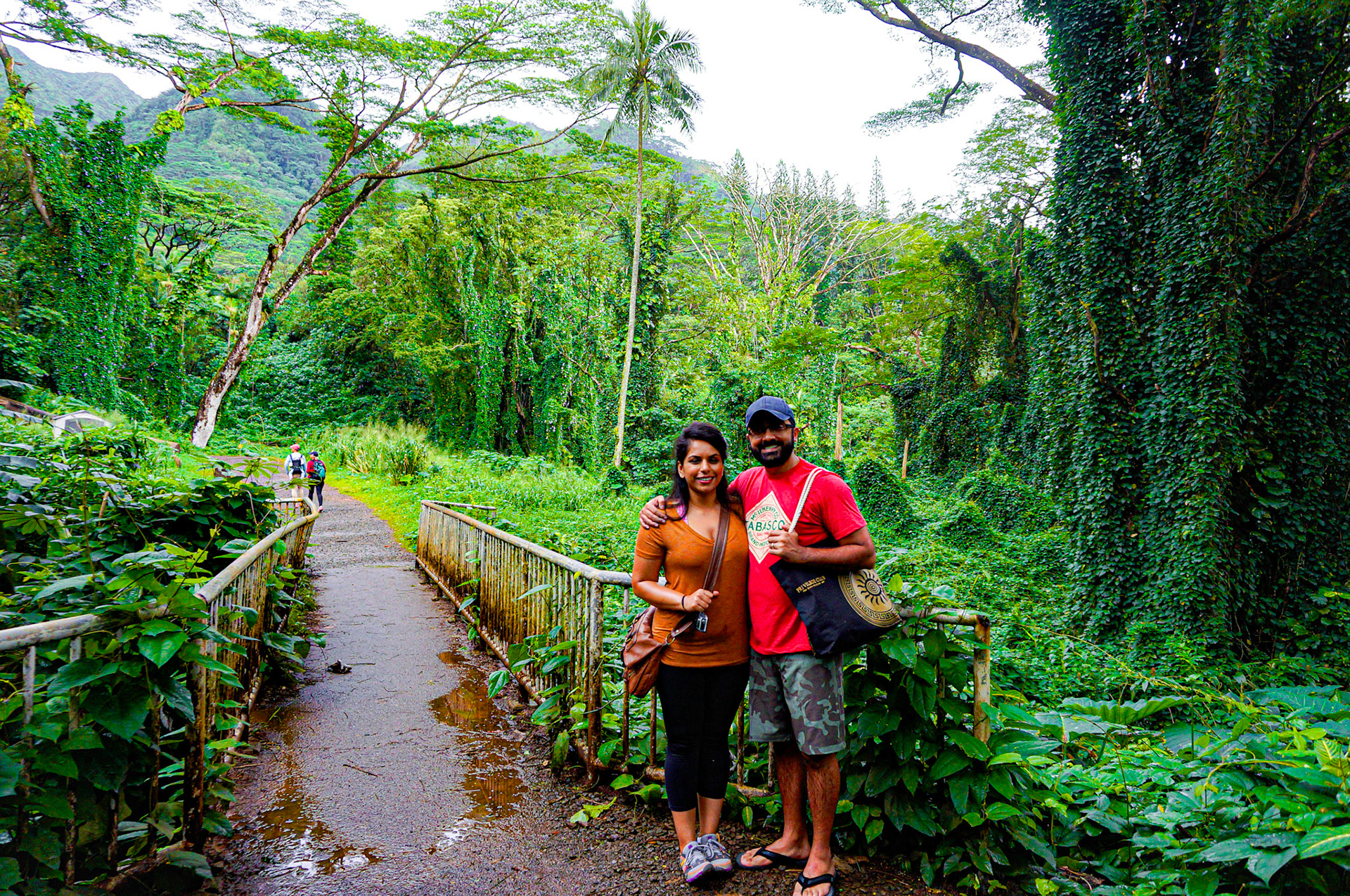 Manoa Falls Trail