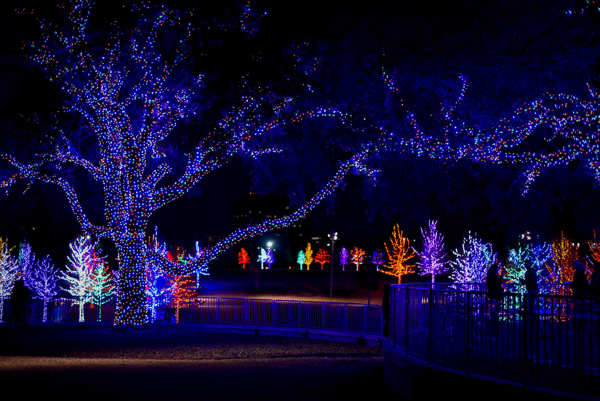 Vitruvian Park Lights