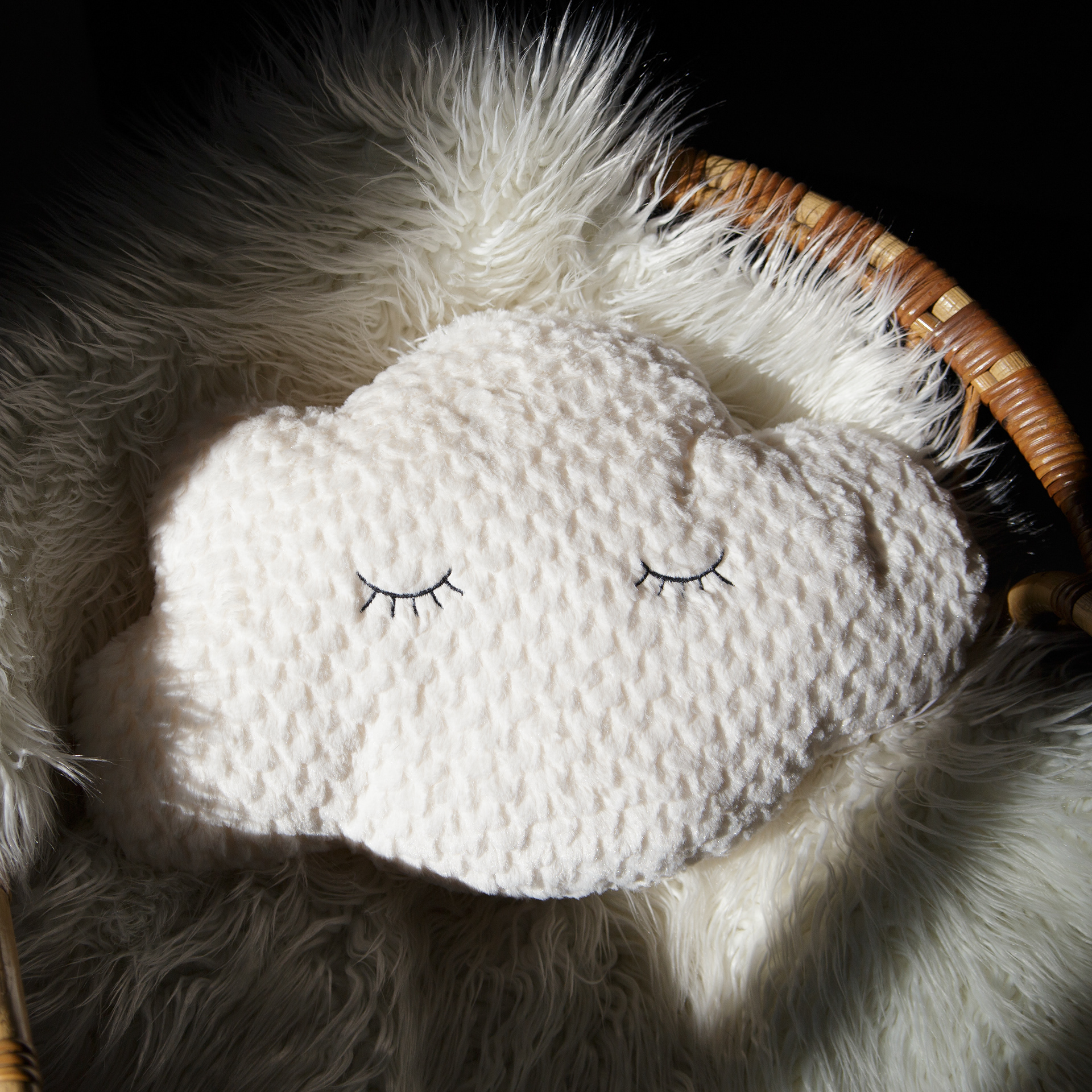 Shooting packshot à Orléans