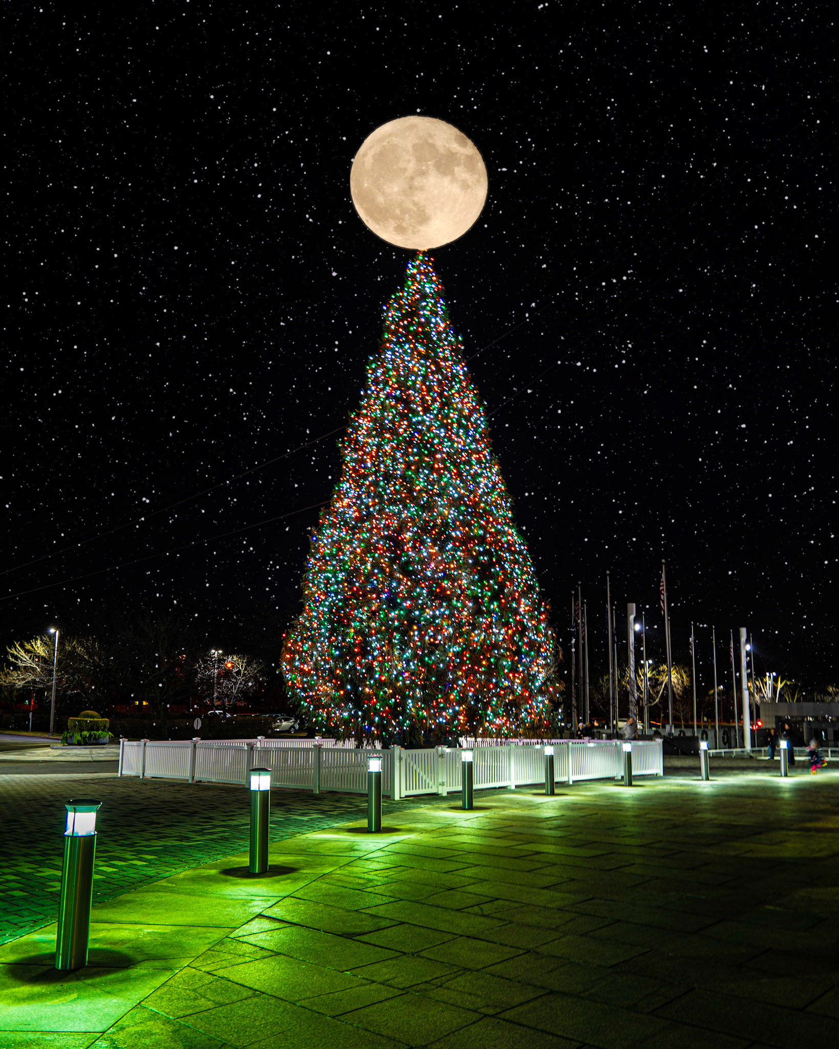 No need to travel to see the NYC Christmas Tree, there is one right here on Long Island at RXR PlazaGreat place to shoot Holiday Pics and there are lots of reflections too!If You Like What You See Please Follow Me !#NotYourAvgPhotoJoeFollow @notyouravgjoeFollow @notyouravgjoe.neon#MadeWithPlatypodAll Right ReservedAll Images © Joe Pellicone, Images may be shared on social media with credit. For information about Prints or Commercial use of these images, please message me or email NotYourAvgPhotoJoe@gmail.com#KEEPONCLICKIN@theslantedlens#digitalphotopro#digitalphotomag#eyephotomagazine#colours.photomagazine#float_magazine#landscapephotomag#news12li#newsday#longisland#PatchLI#discoverlongisland #lislandstrong #exploreliny