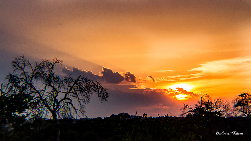 Texas Hill Bountry Sunset