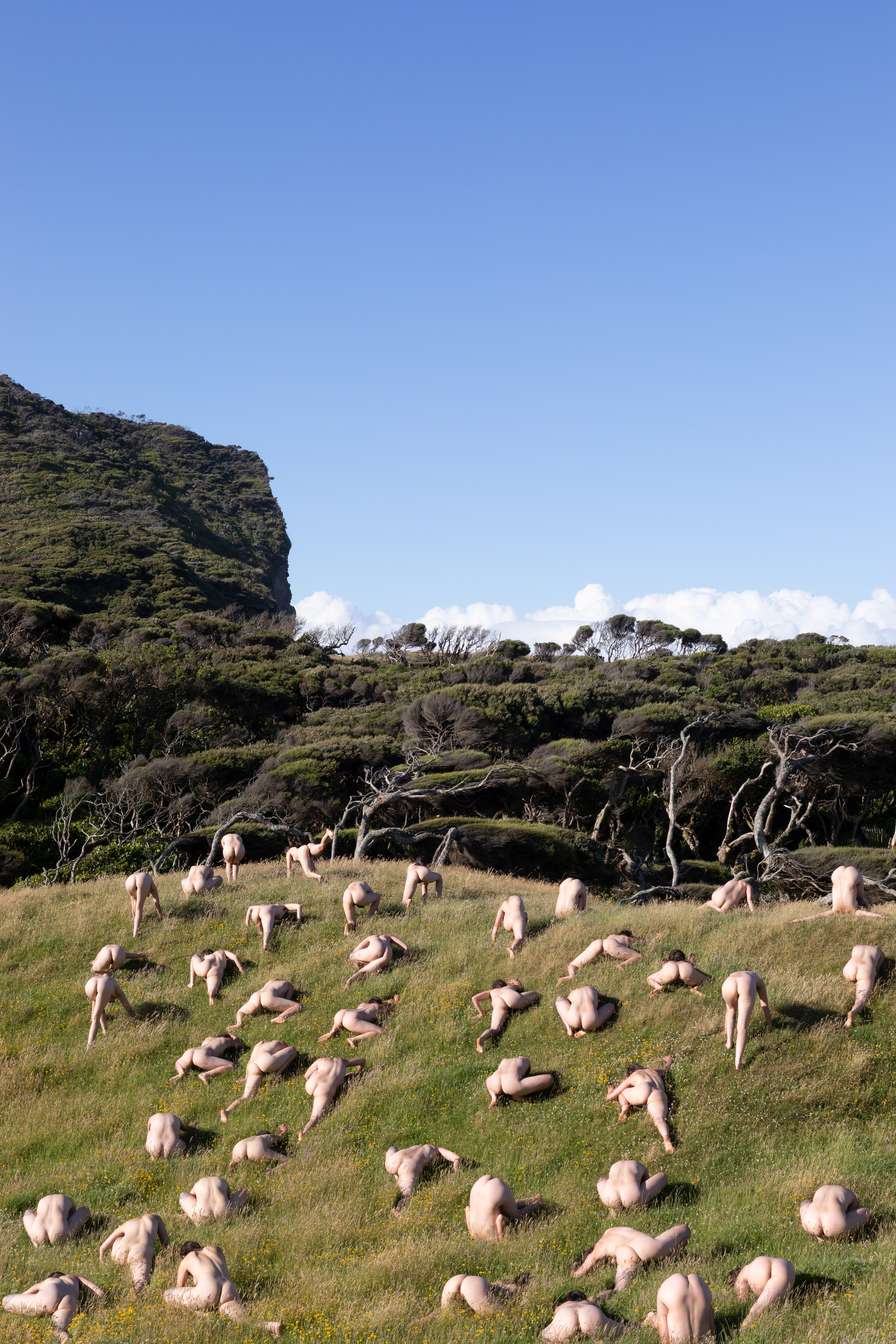 My Body Is My Vehicle #28, 2025, Wharariki