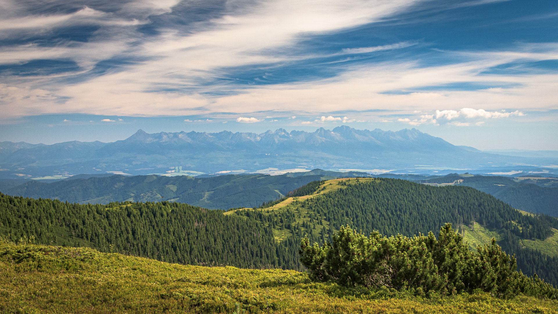 Vysoké Tatry od Veľké Vápenice