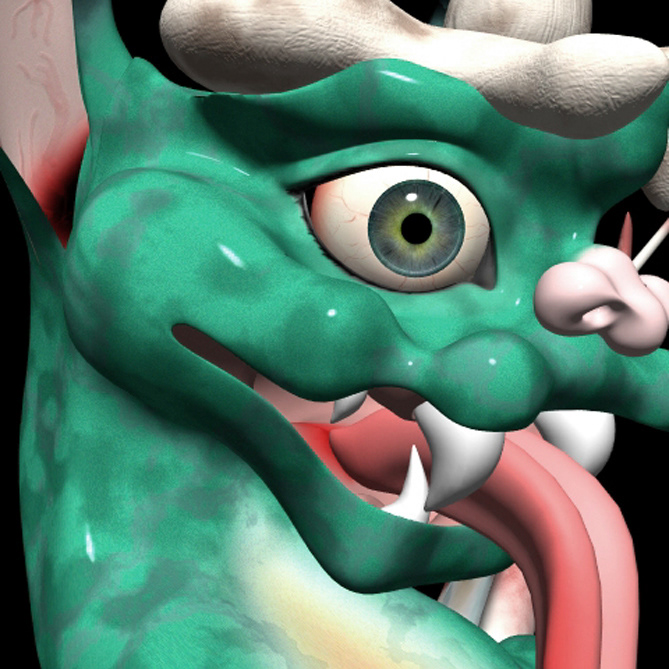 Head close up
