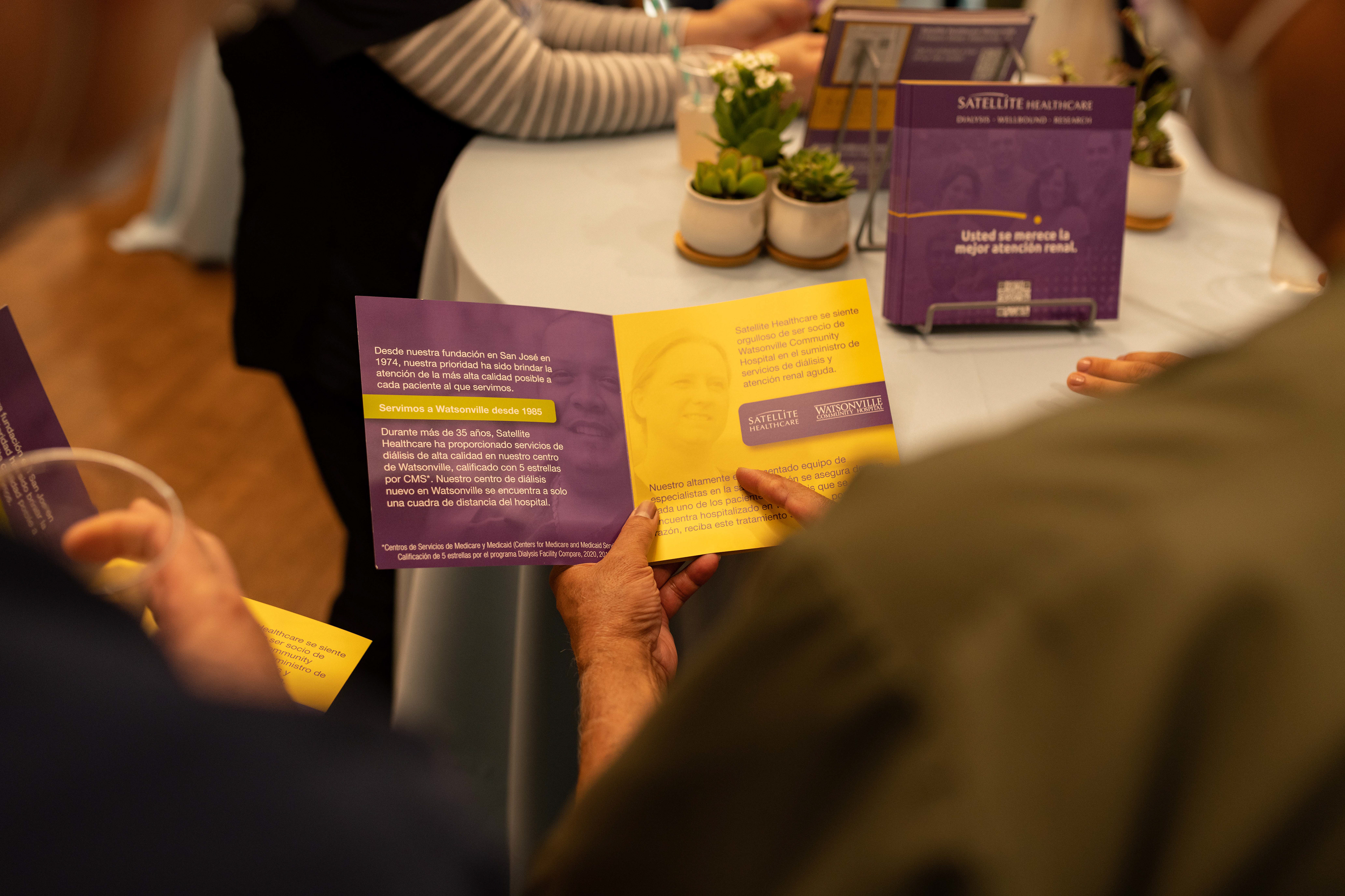 Printed Brochures on Table