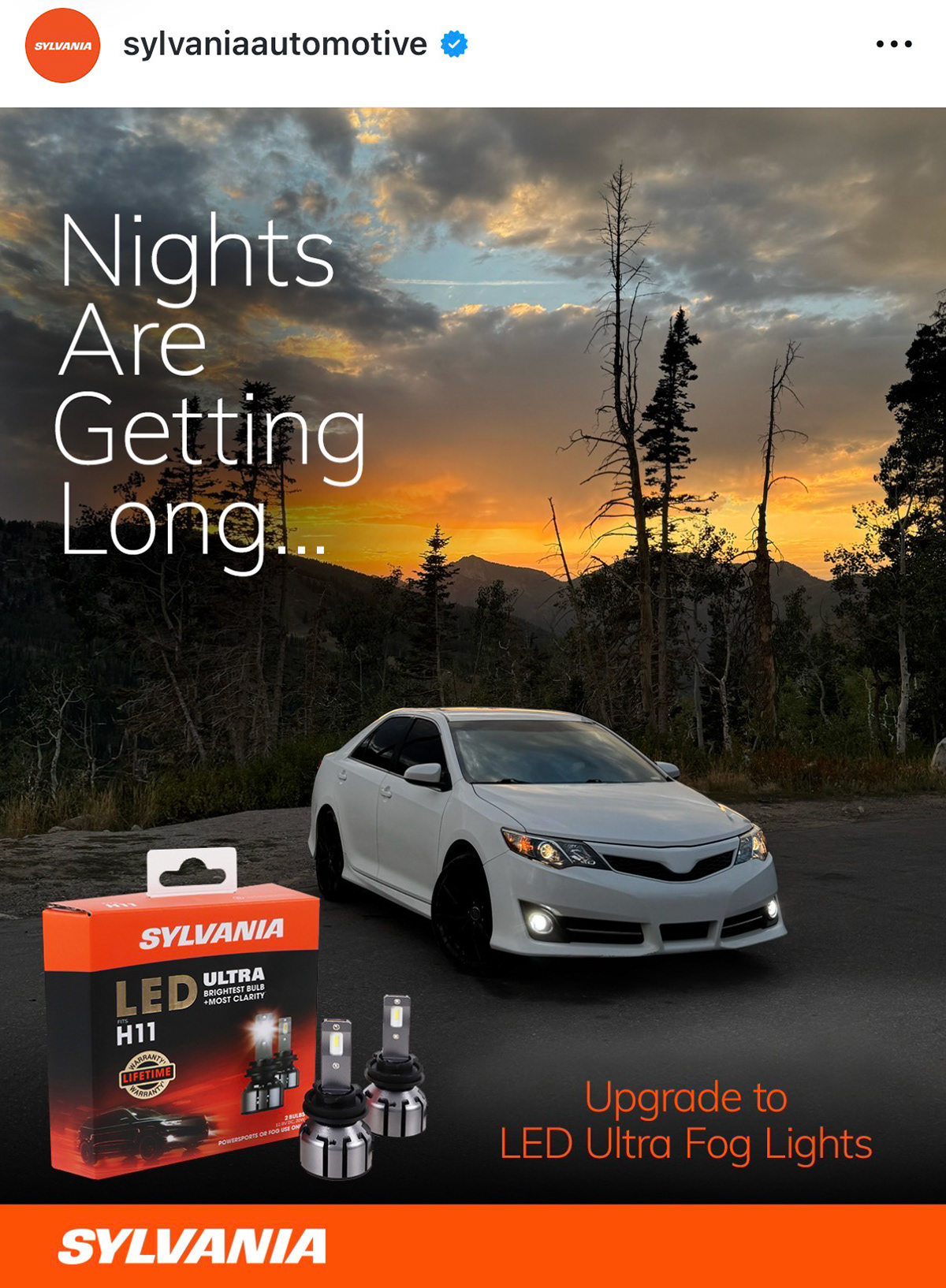 Photo: Captured by Julie Canon DLSR -- Layout Design Concept by Julie