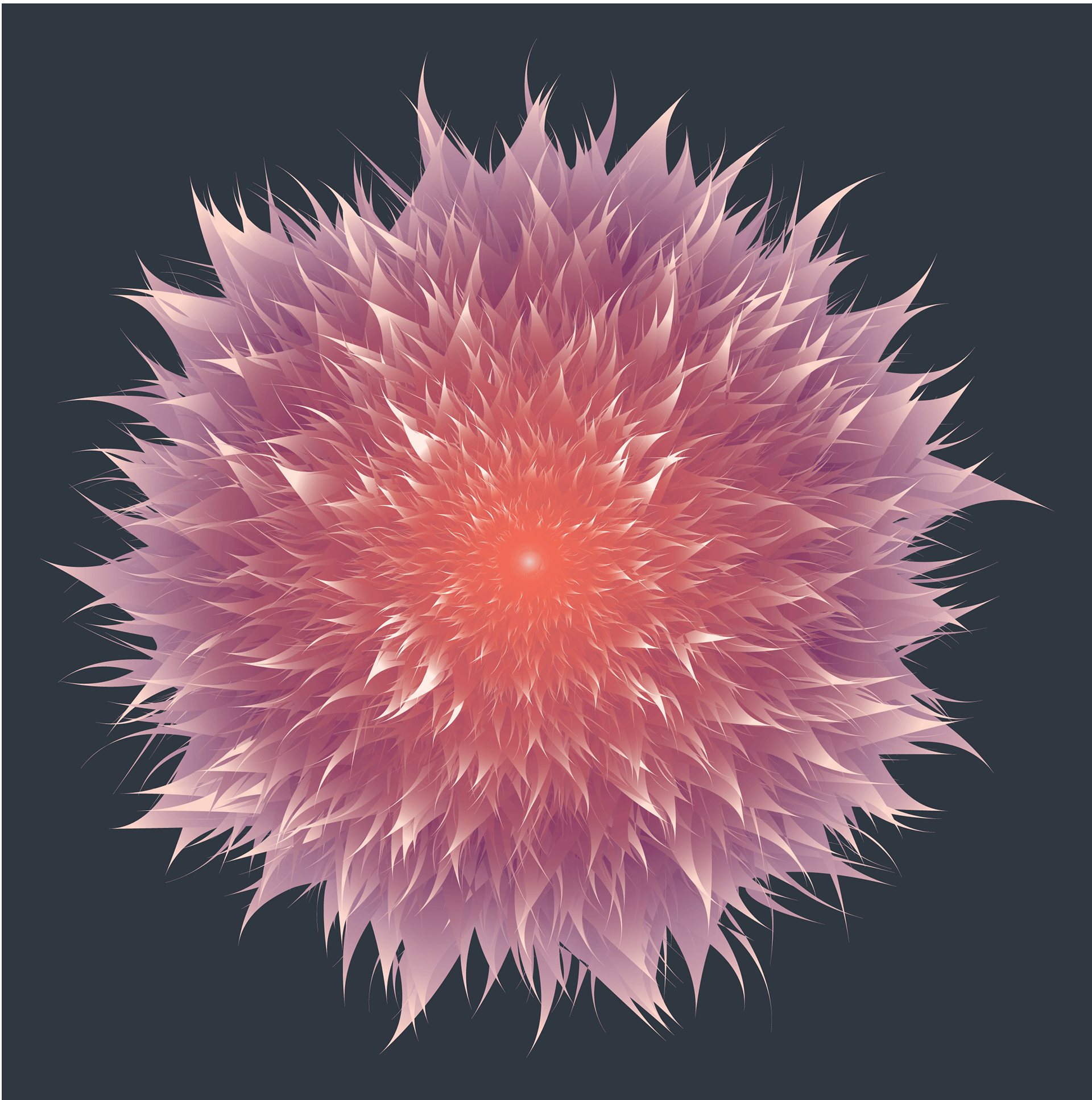 bloom, adobe illustrator