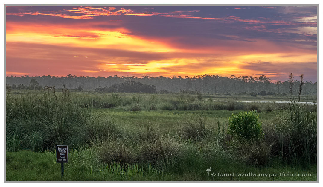 Sunrise Stoney Bayou