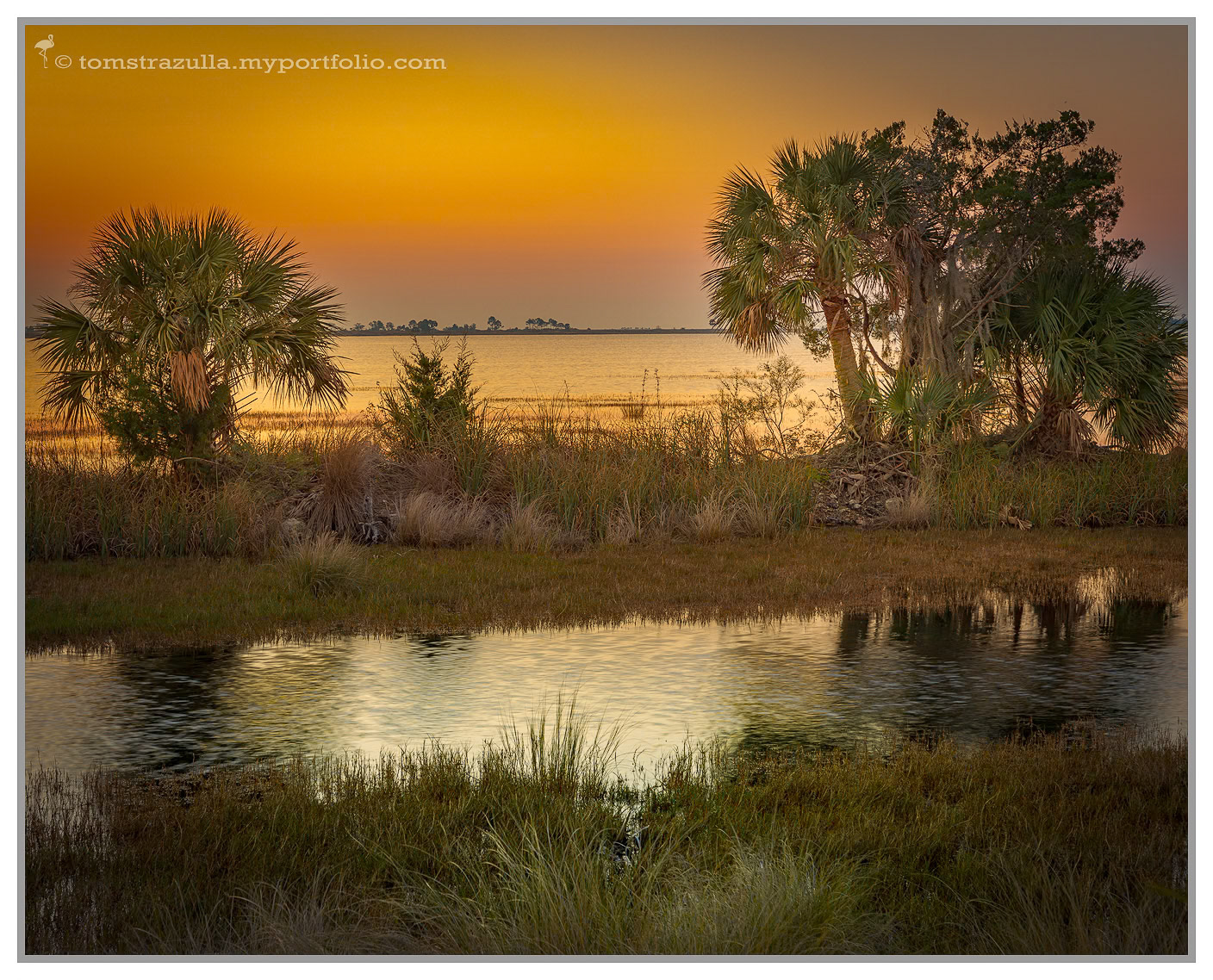 Sunrise Stoney Bayou