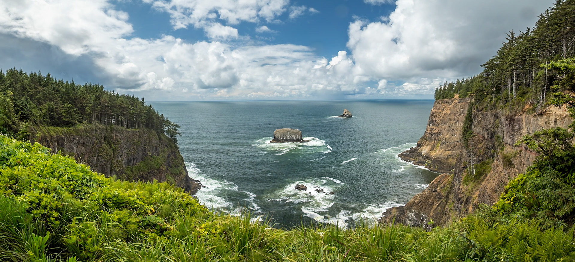 Tall cliffs rise dramatically above the ocean at Cape Meares, surrounded by lush greenery and bright blue skies.