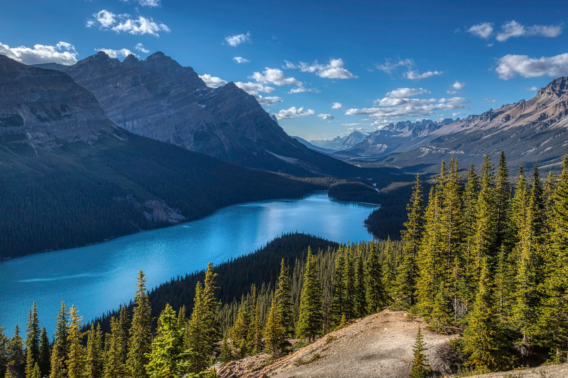 Elevated view of bright blue Peyto Lake surrounded by tall mountains on a sunny afternoon, Banff National Park, Alberta, Canada
