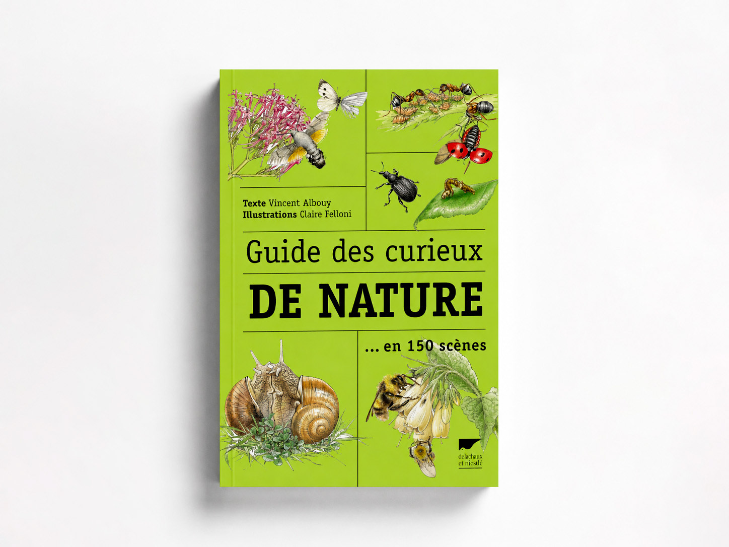 Création de la couverture du livre Guide des curieux de nature publié par les Éditions Delachaux et Niestlé. 