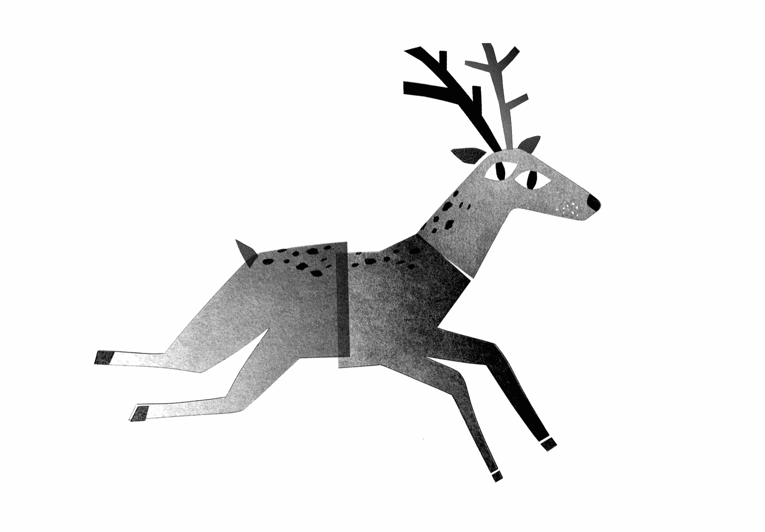 Gif illustration carte de voeux Léa Larrieu. Illustration gif happy new year