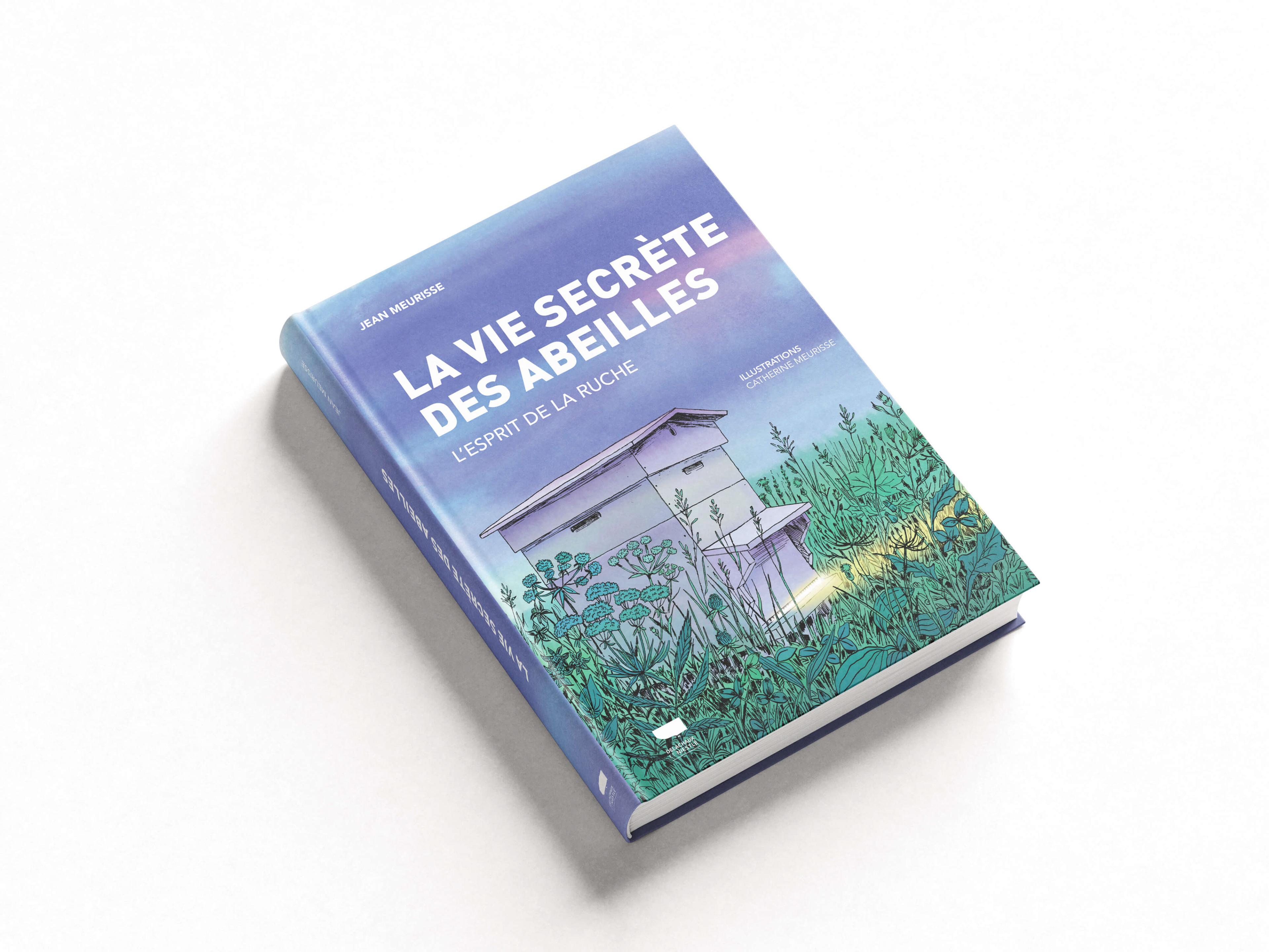 Couverture du livre La Vie secrète des abeilles de Jean Meurisse, illustrée par Catherine Meurisse – design éditorial par Léa Larrieu
