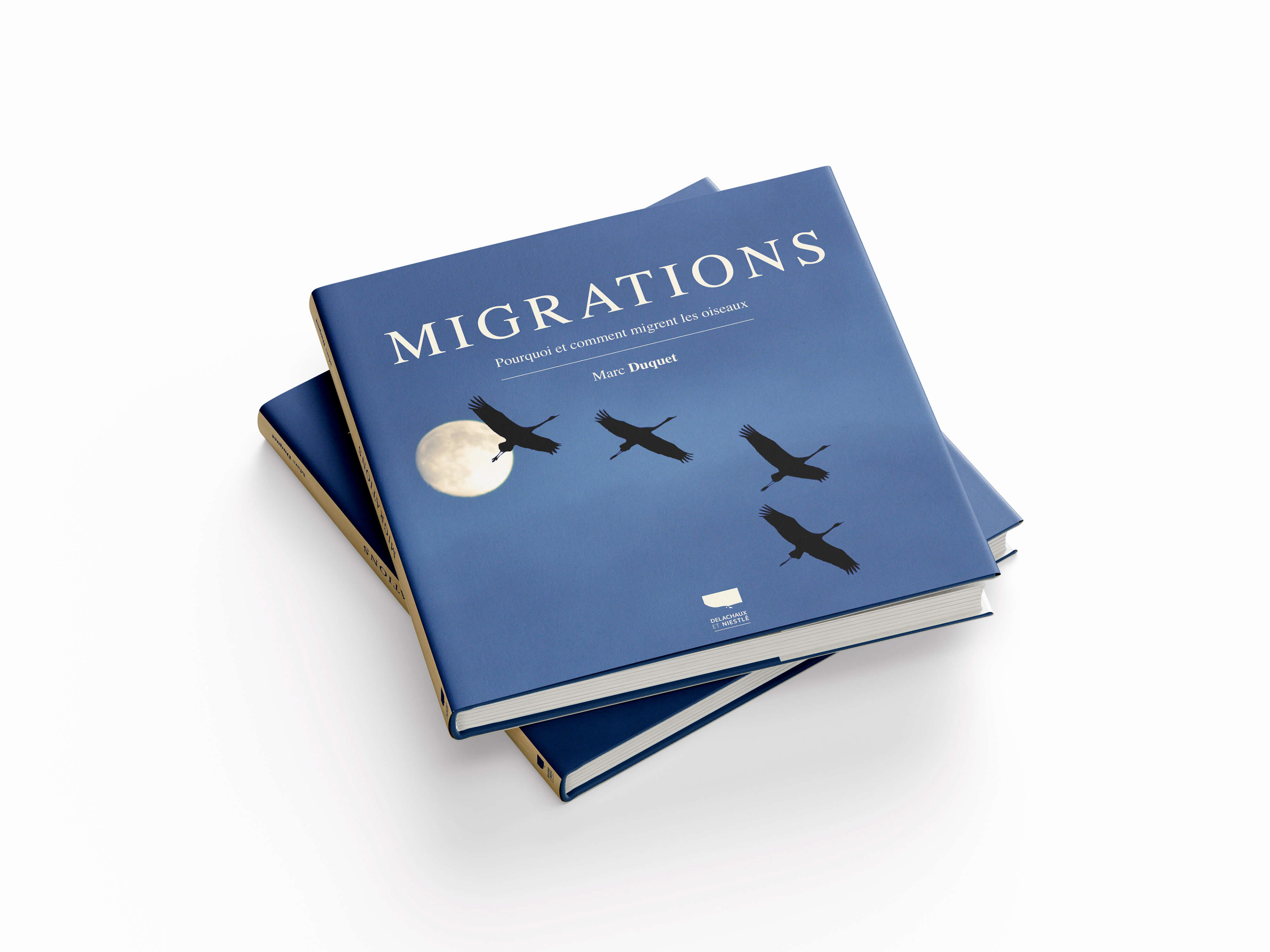 Création graphique d'un ouvrage documentaire sur la migration des oiseaux. Editorial design for a non-fiction book about bird migration.