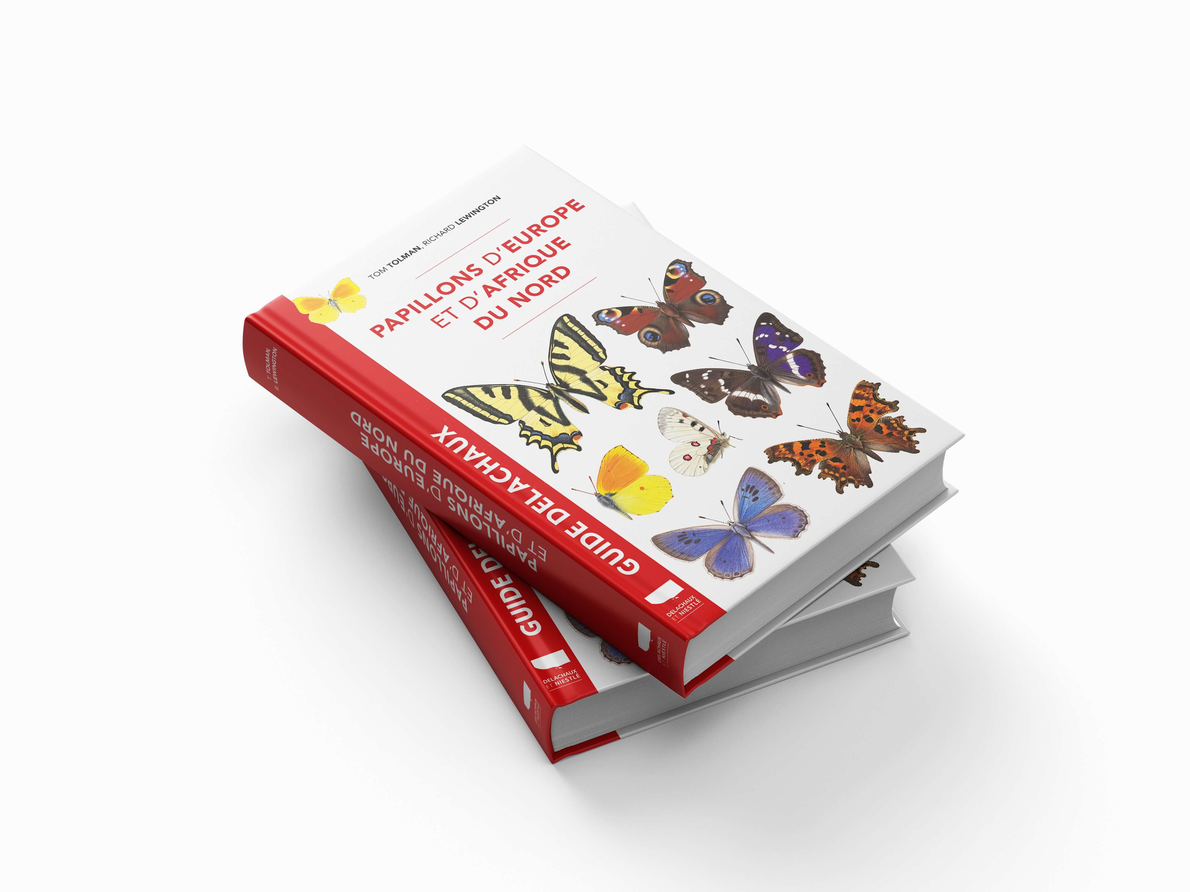 Direction artistique et design éditorial d’un guide illustré sur les papillons. Art direction and editorial design for an illustrated butterfly guide.