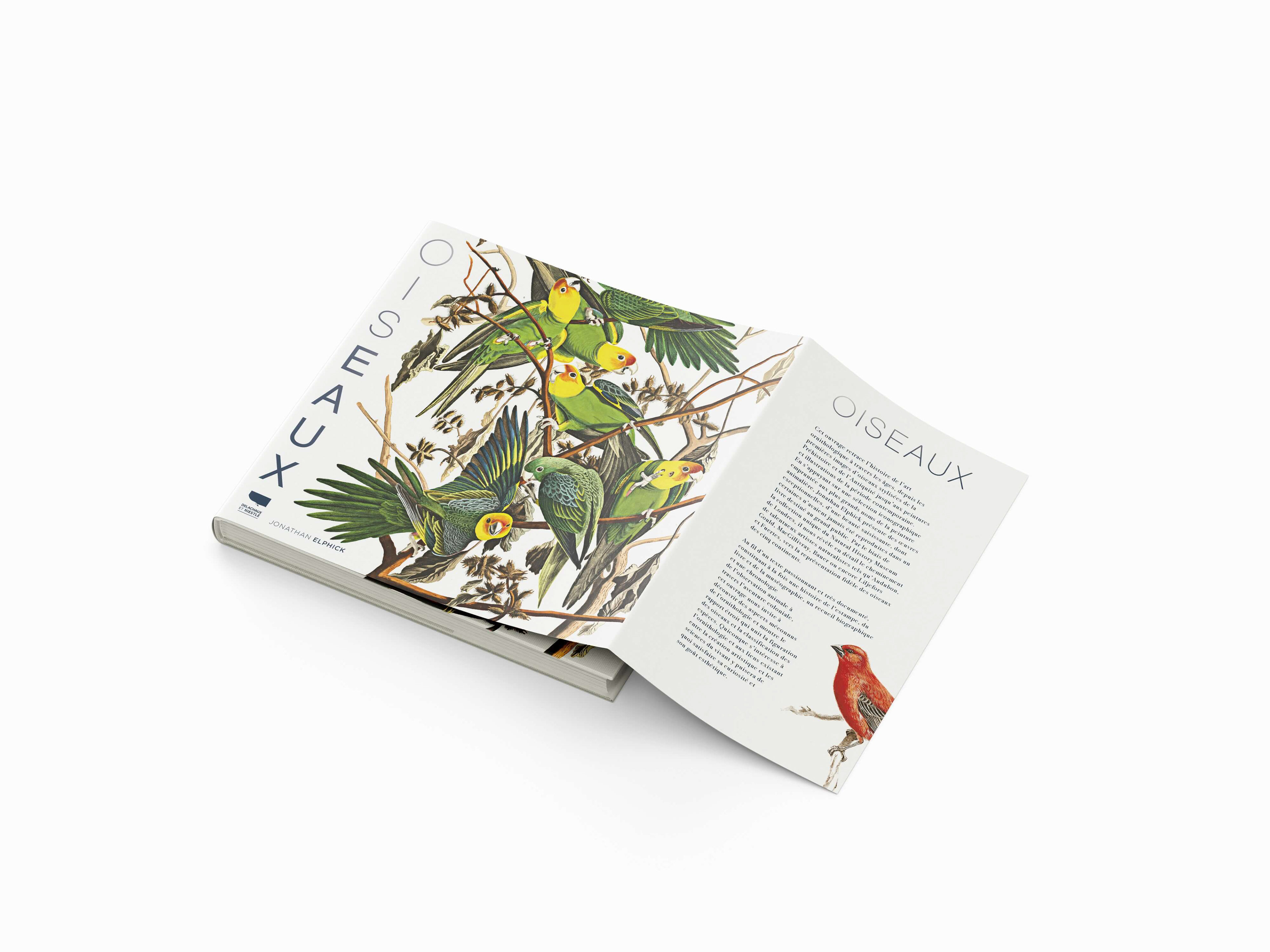 Oiseaux — Direction artistique & design éditorial | Léa Larrieu
