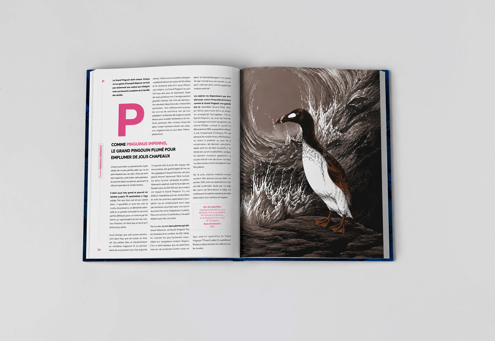Design éditorial et mise en page d’un livre documentaire jeunesse consacré aux espèces disparues, à la biodiversité et à l’histoire naturelle. Editorial design for an illustrated children's nonfiction book about extinct species, biodiversity and natural history.