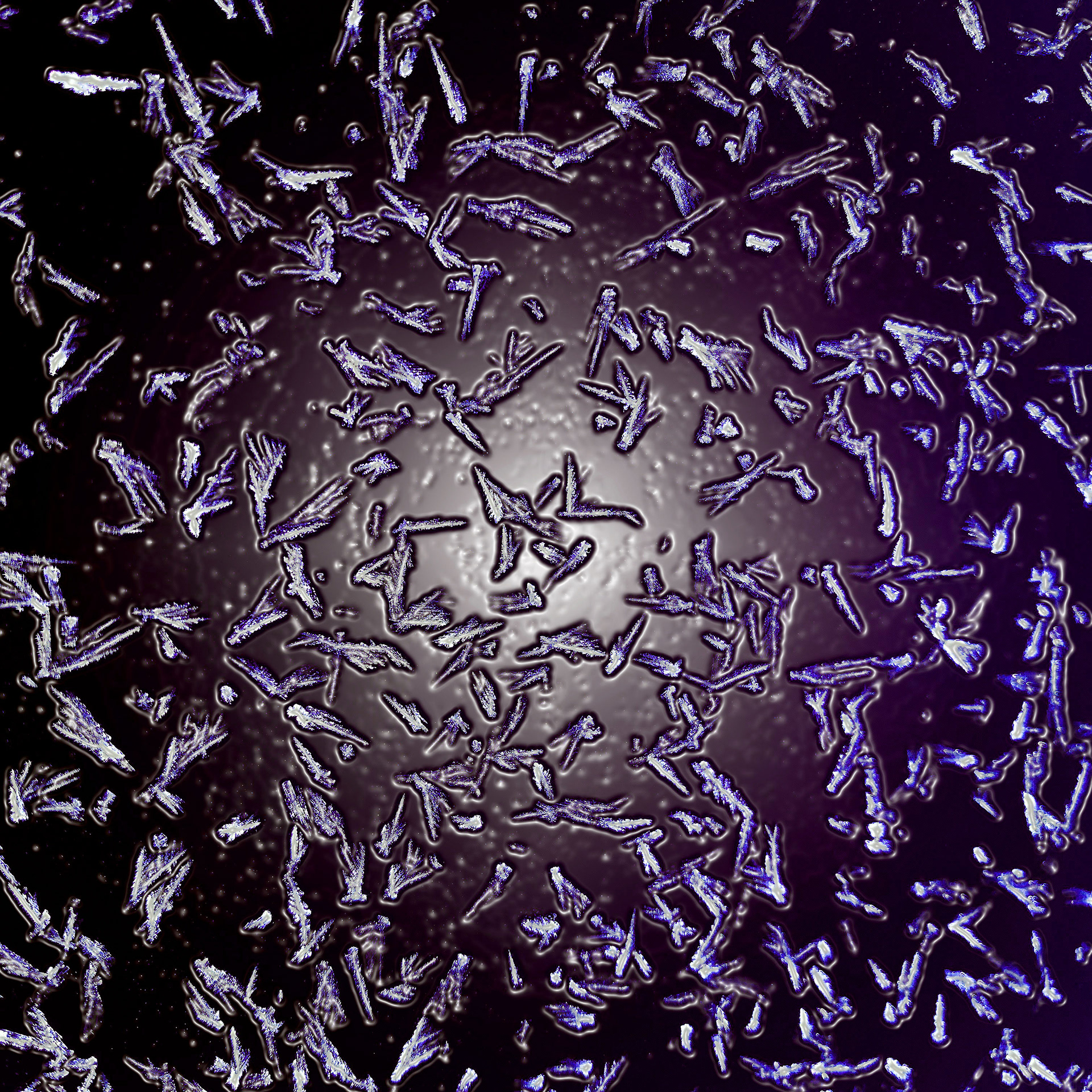 Ice on Windshield