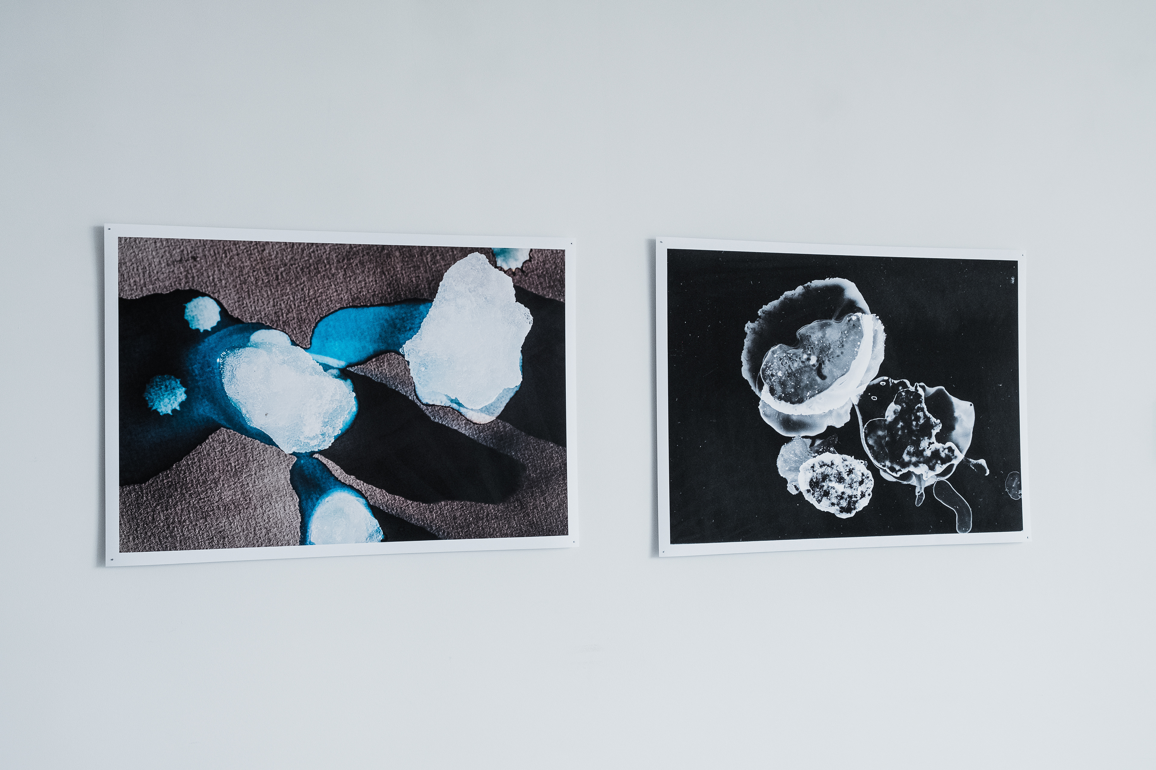 Porto Biennale