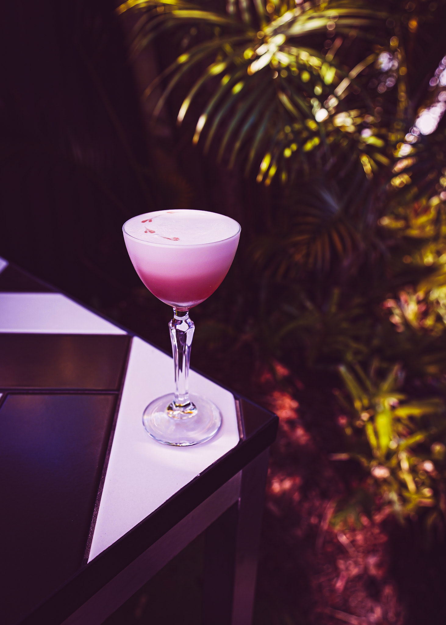 A cocktail sitting on a checked table with ferns in the background