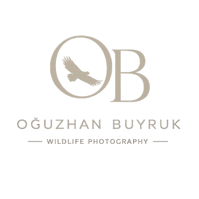 oguzhan buyruk