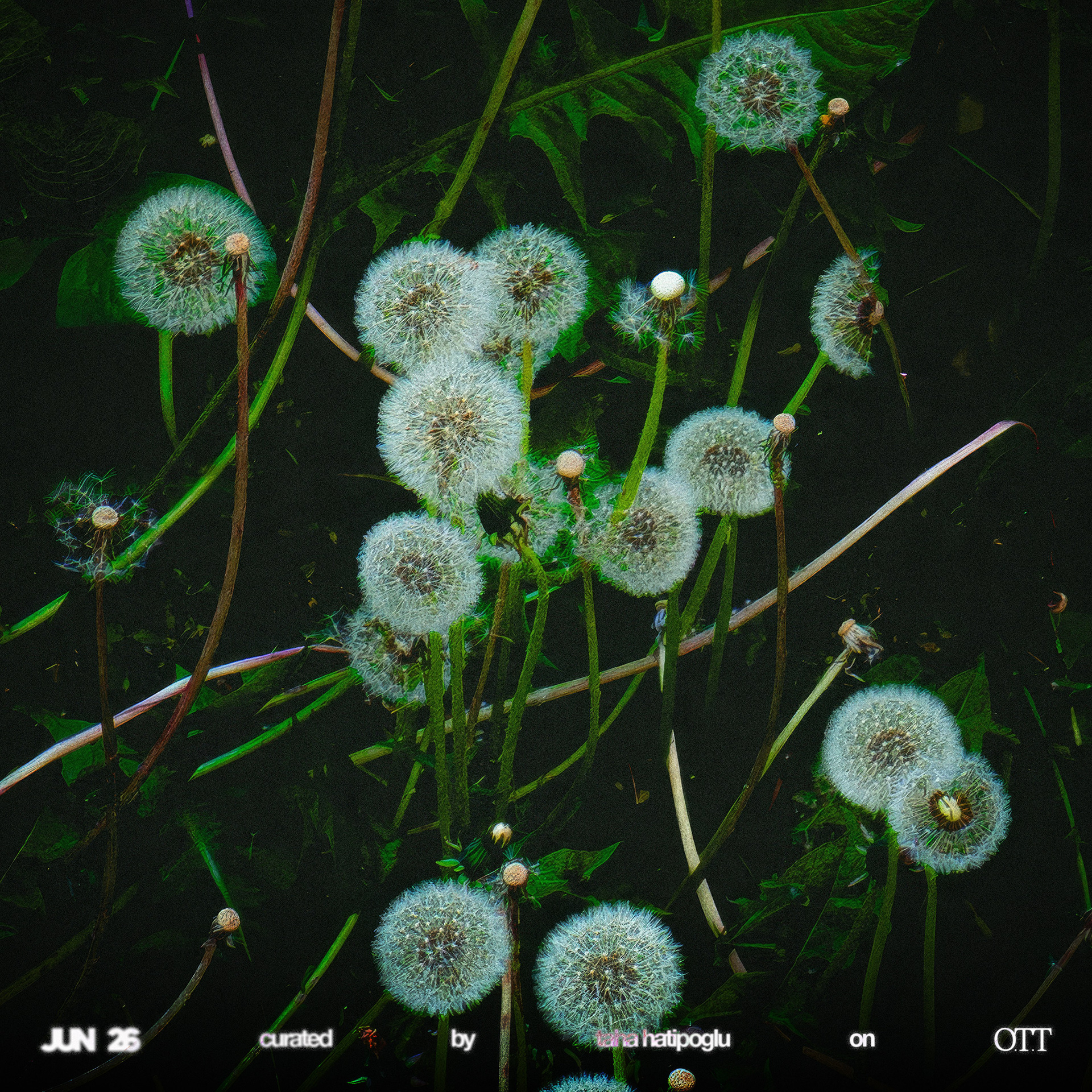 ARTWORK FOR "TO ALL THE COINCIDENCES", INDIE & ALTERNATIVE ROCK LIST, JUN 2026