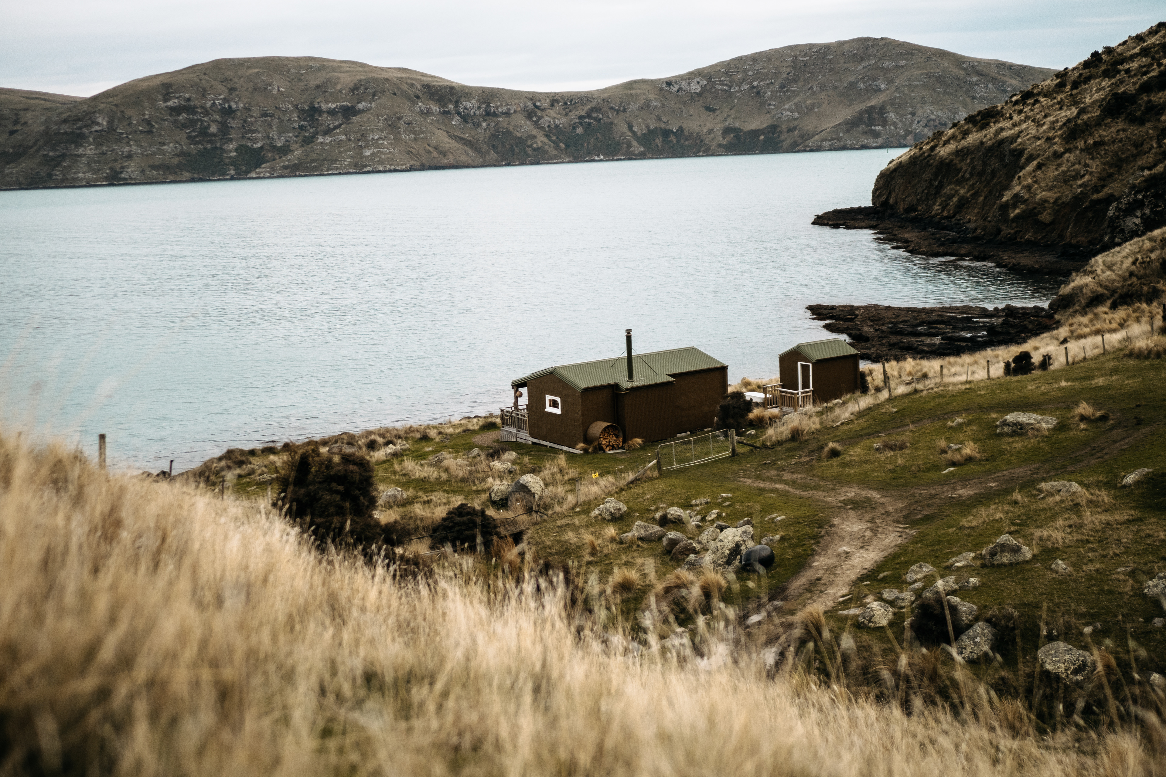 The Bearded Poet (Klara Hosinska, Clarushie)