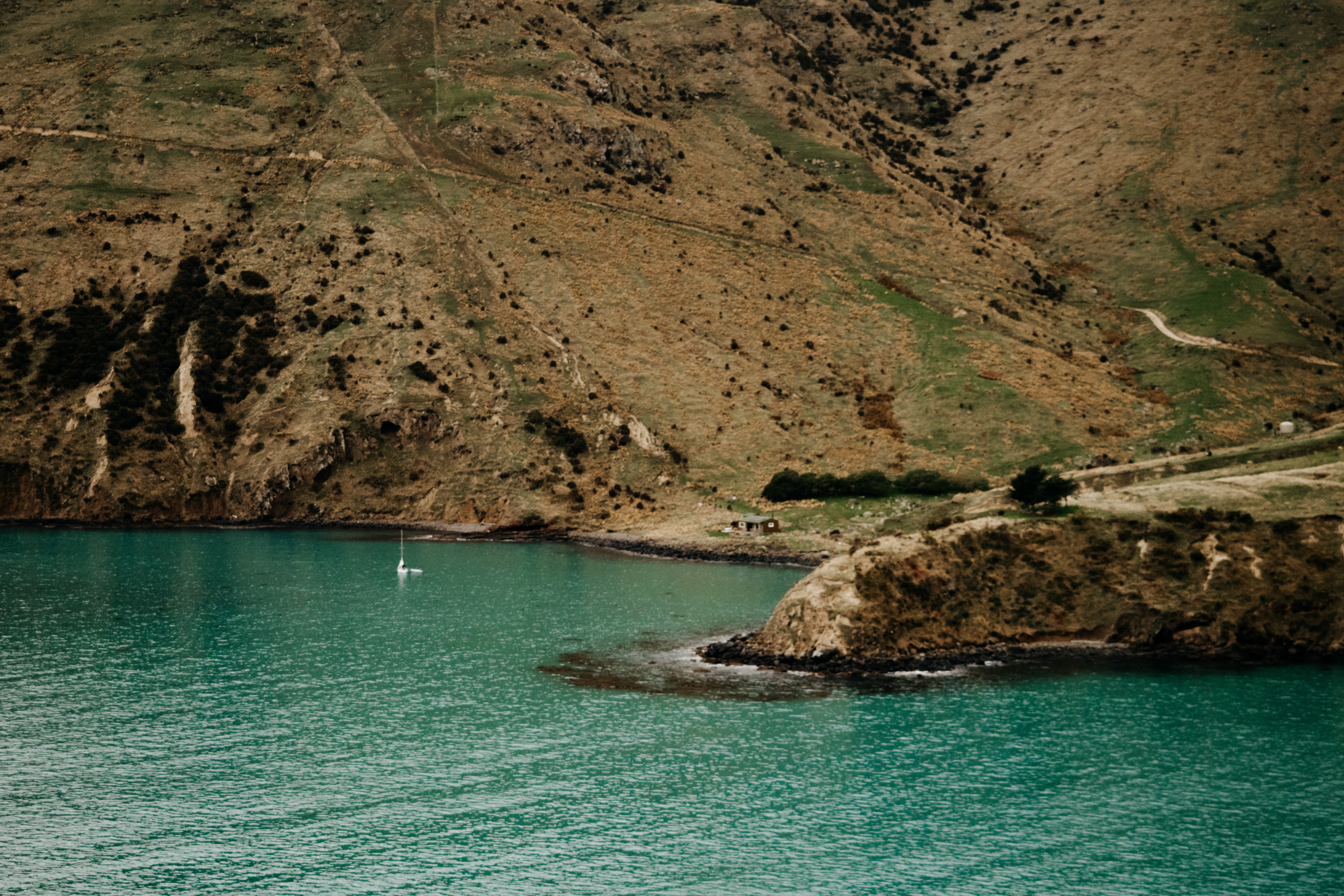 The Bearded Poet (Klara Hosinska, Clarushie)