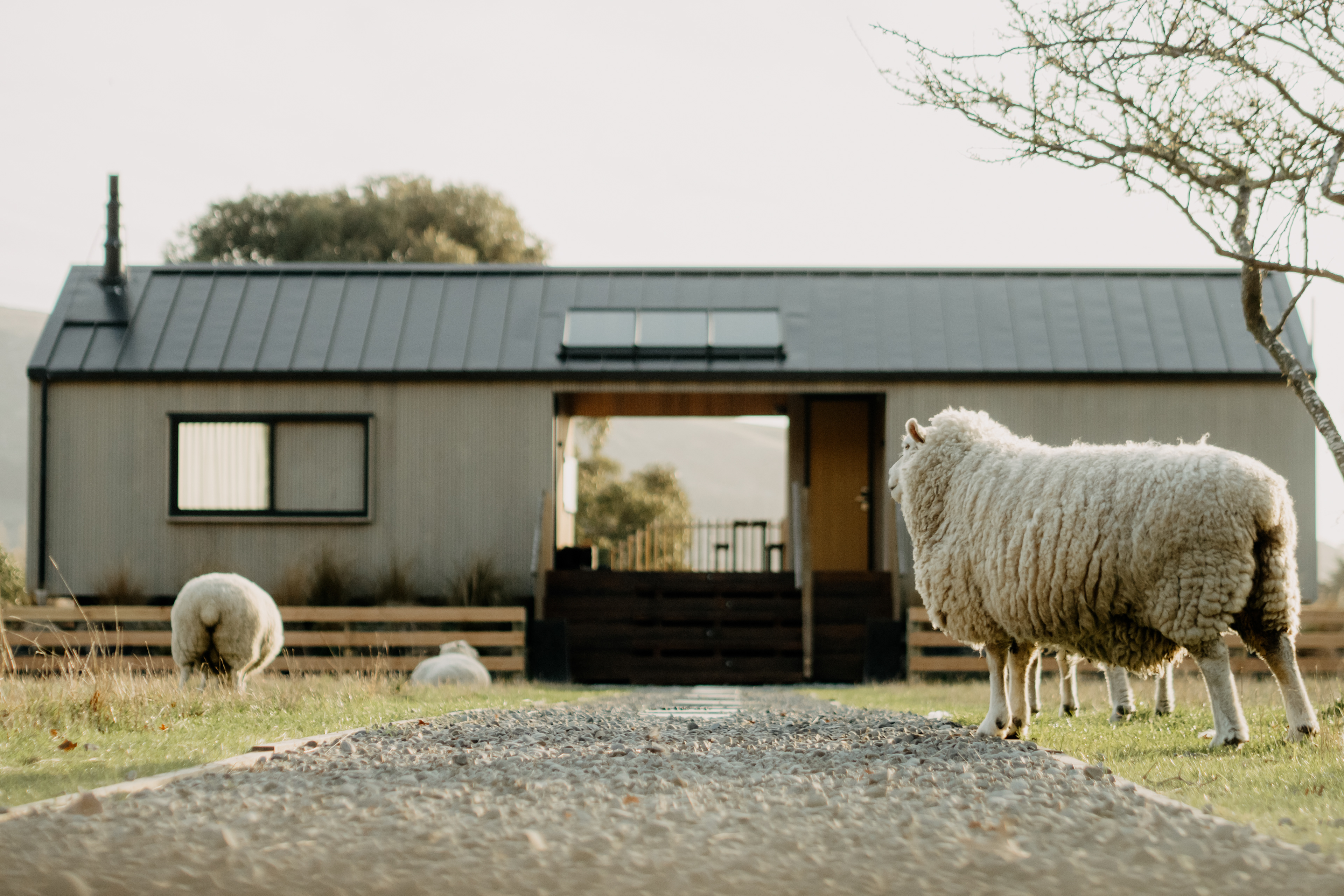 Five Acre Farm (Klara Hosinska, Clarushie)
