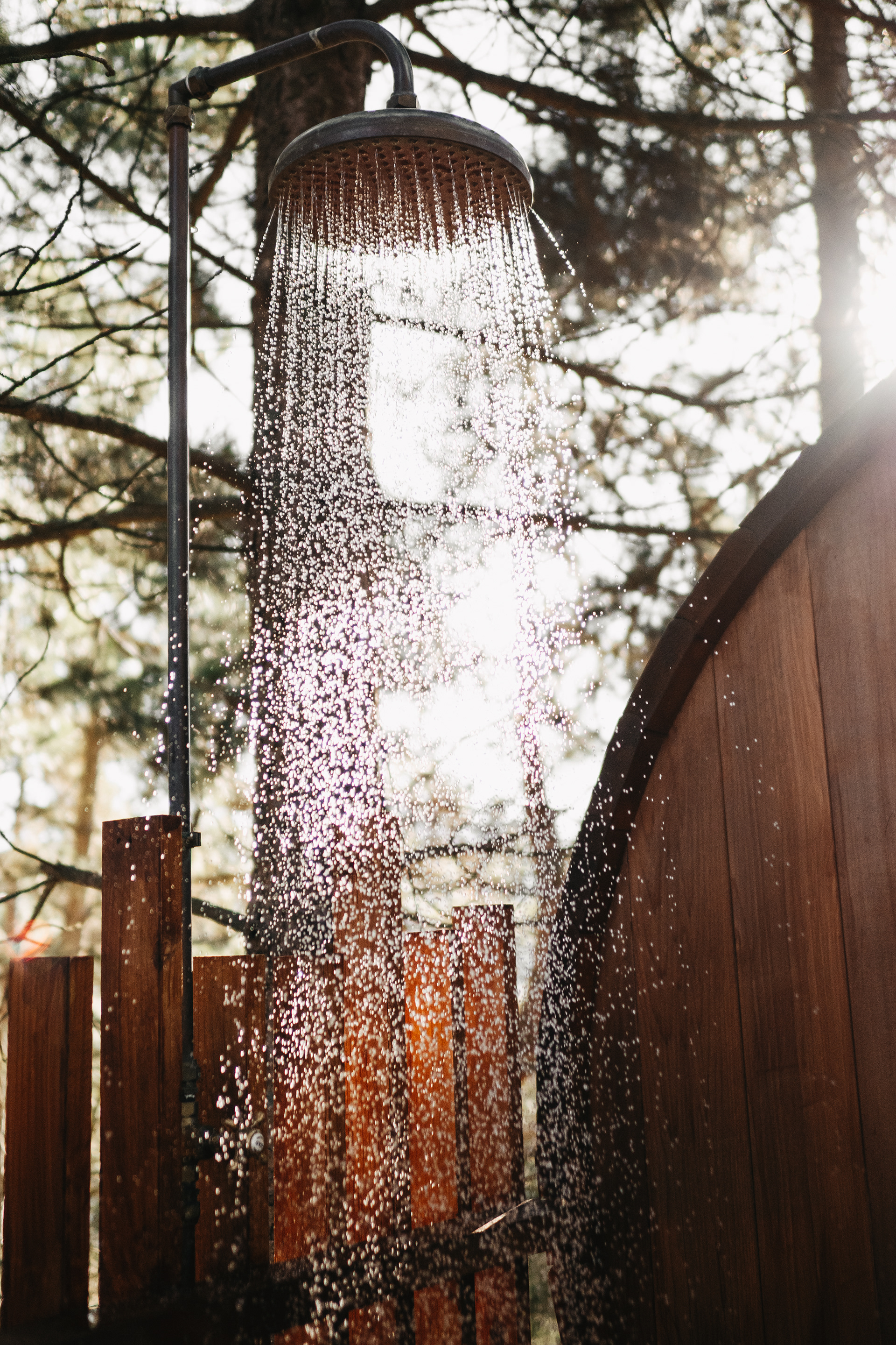 Nest Tree Houses (Klara Hosinska, Clarushie)