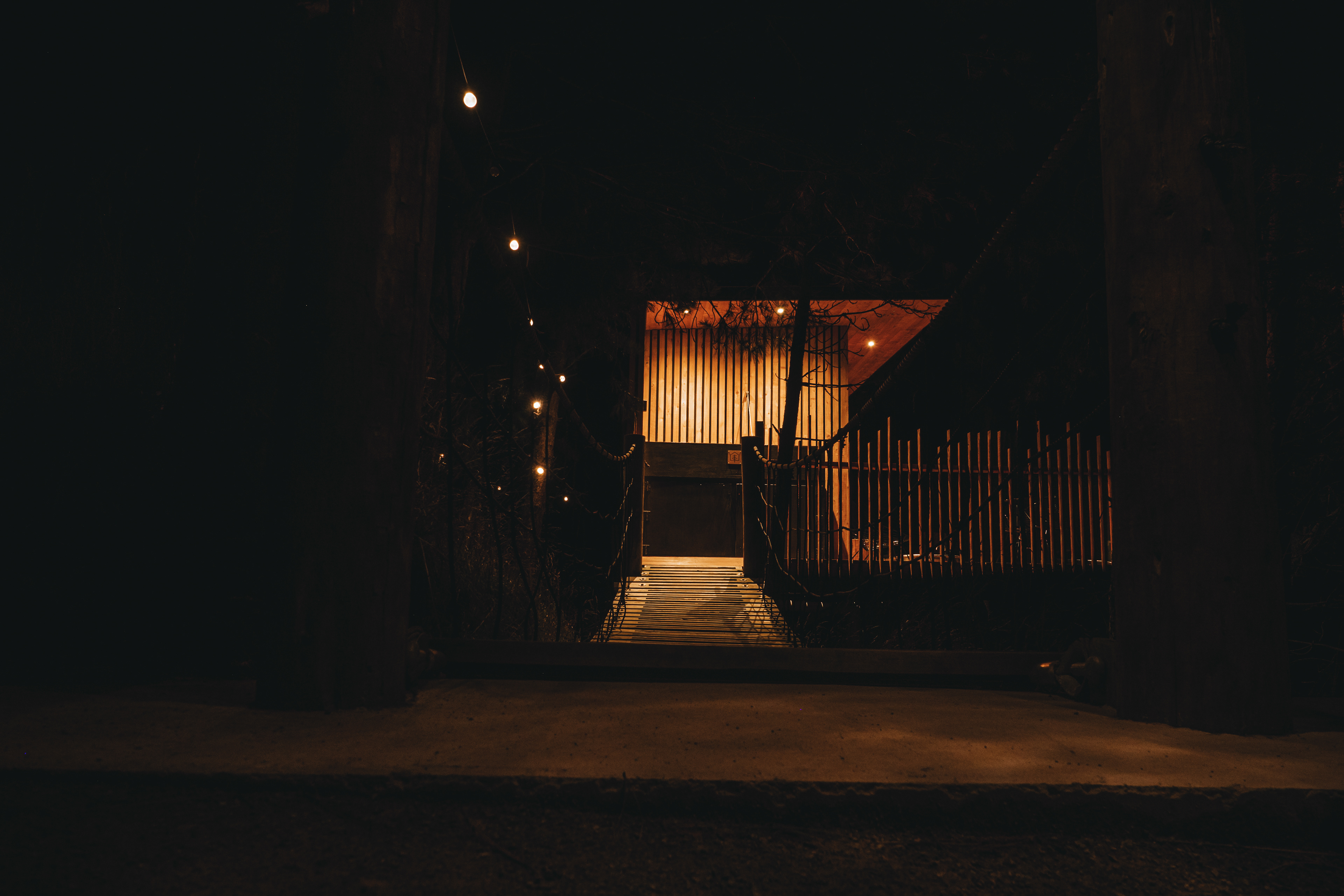 Nest Tree Houses (Klara Hosinska, Clarushie)
