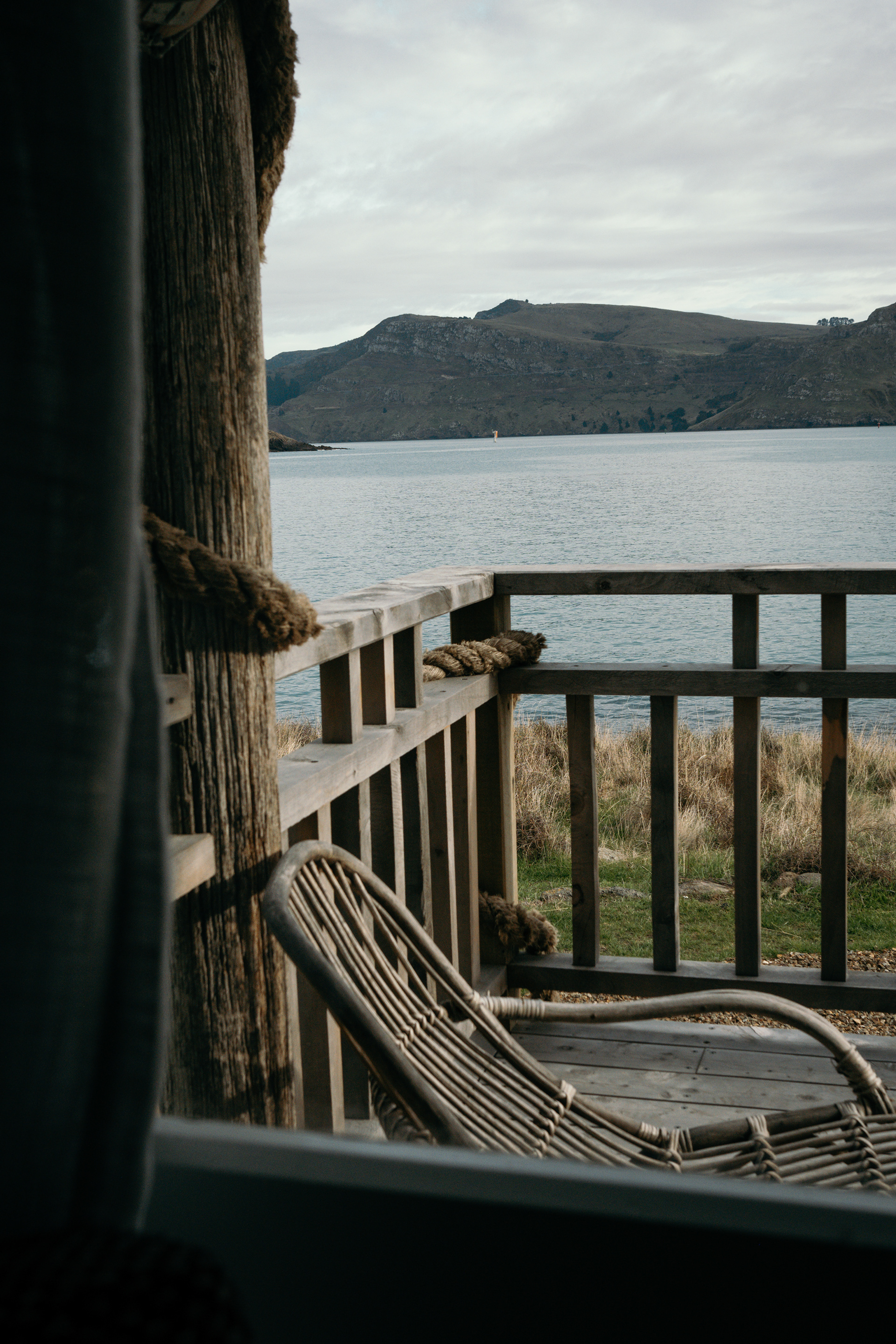 The Bearded Poet (Klara Hosinska, Clarushie)