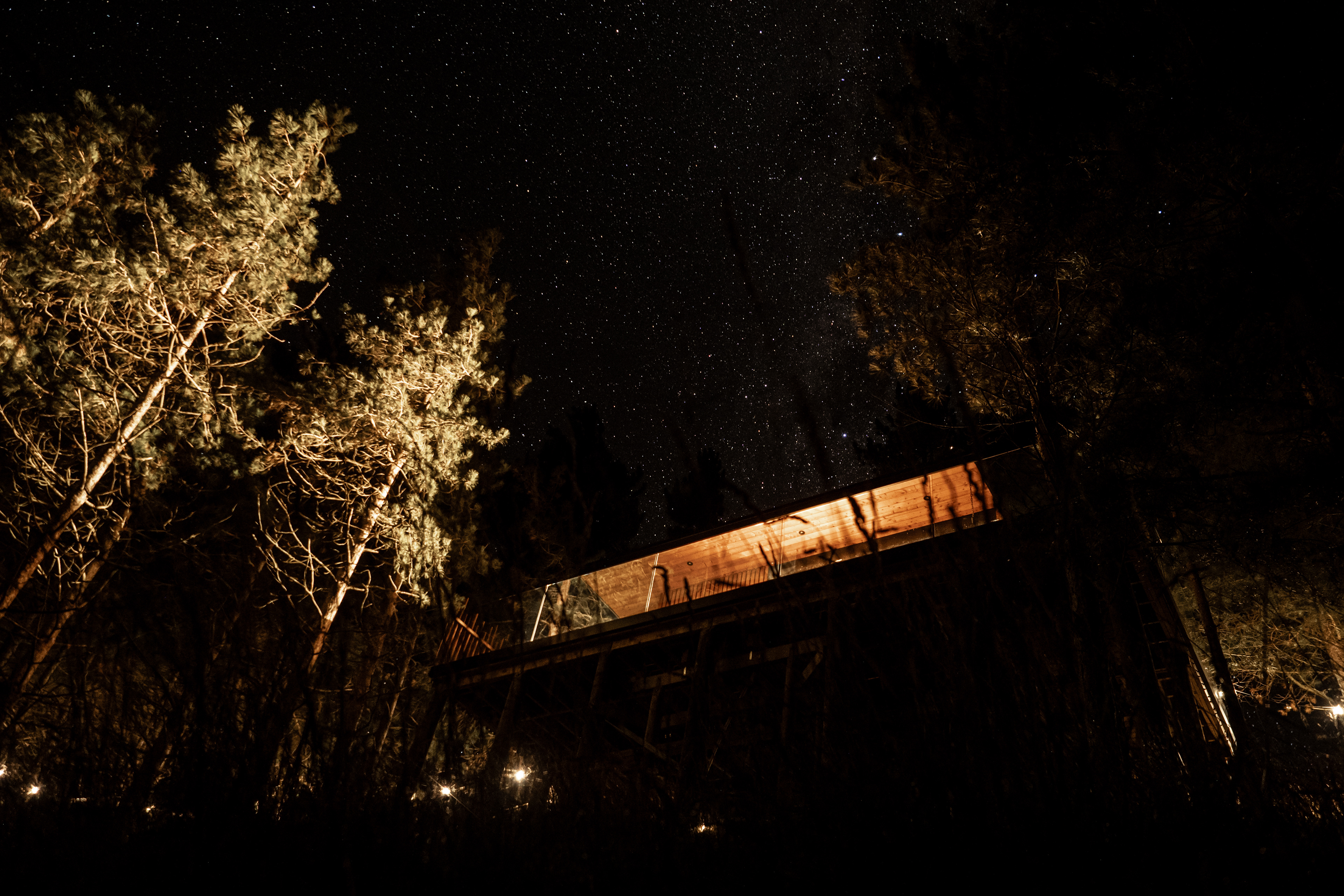 Nest Tree Houses (Klara Hosinska, Clarushie)