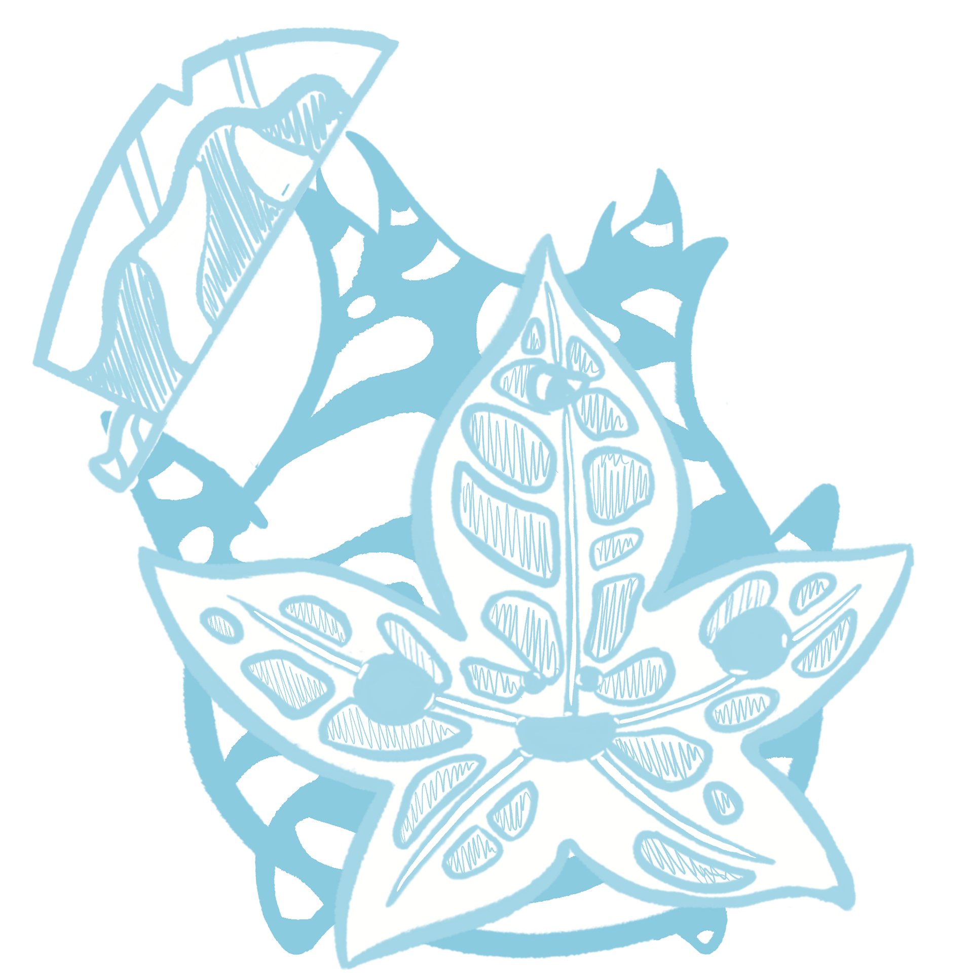 Final Sketch