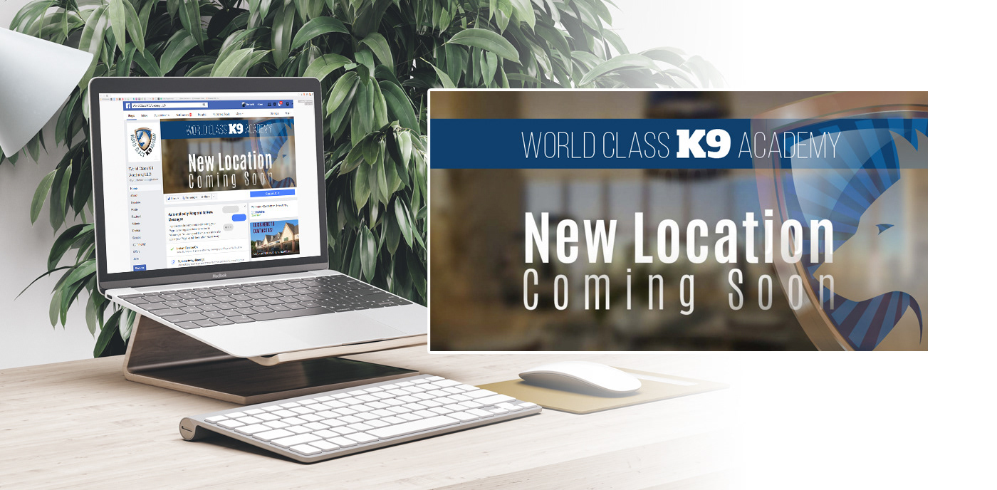 Art for social media, indication for new location of office