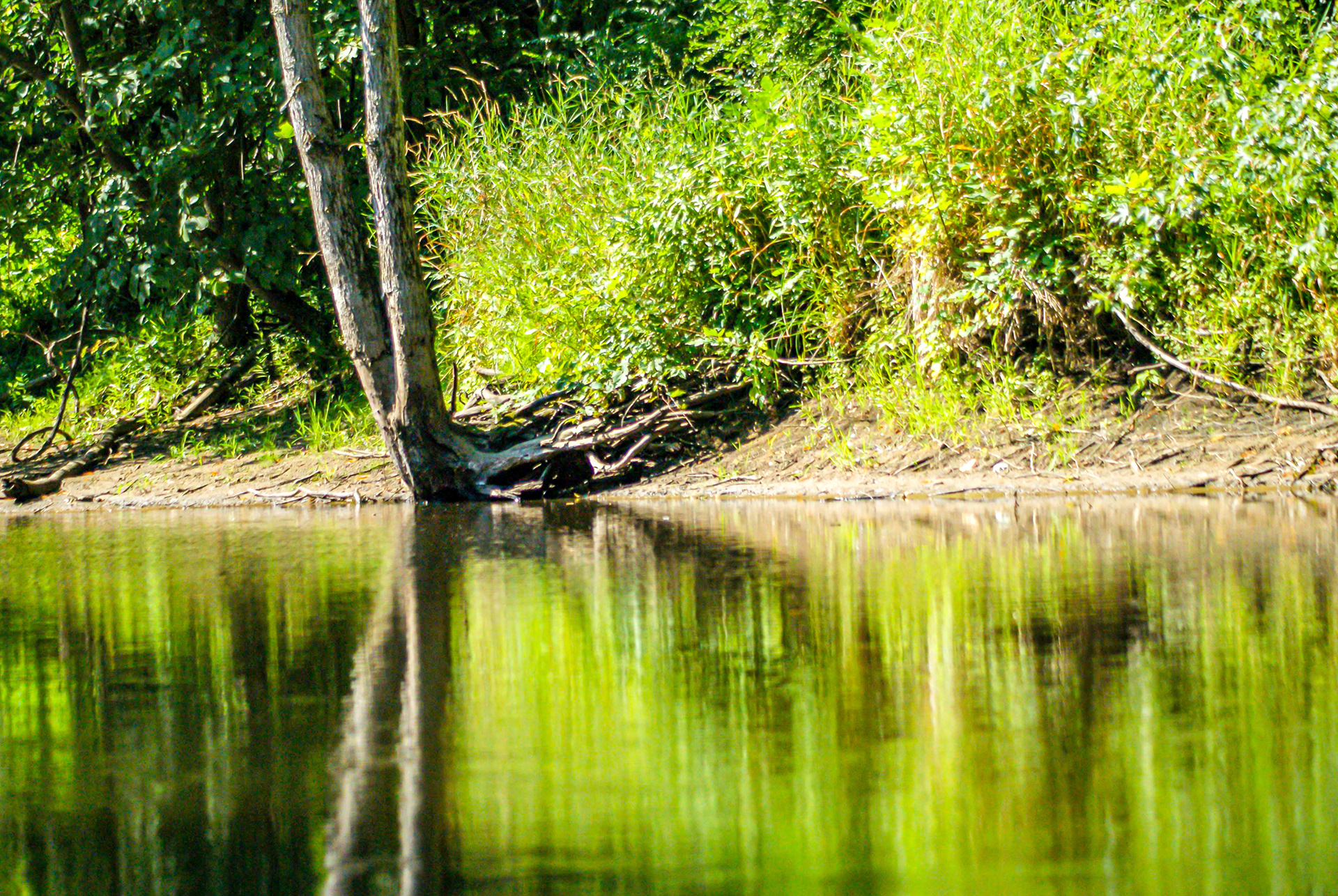 A Reflective Juncture (Holt, MI)