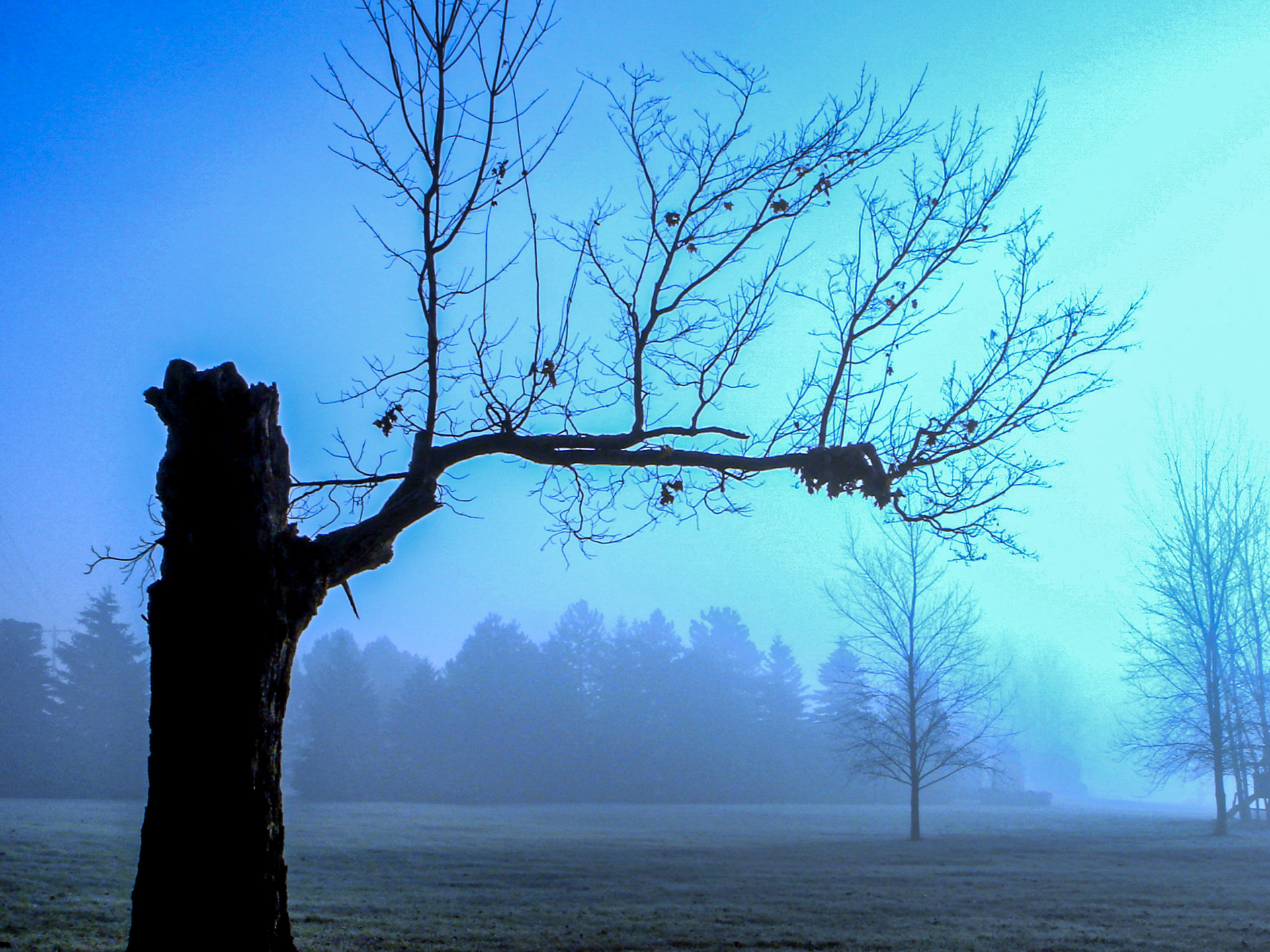 Sentry of the Mist (Okemos, MI)