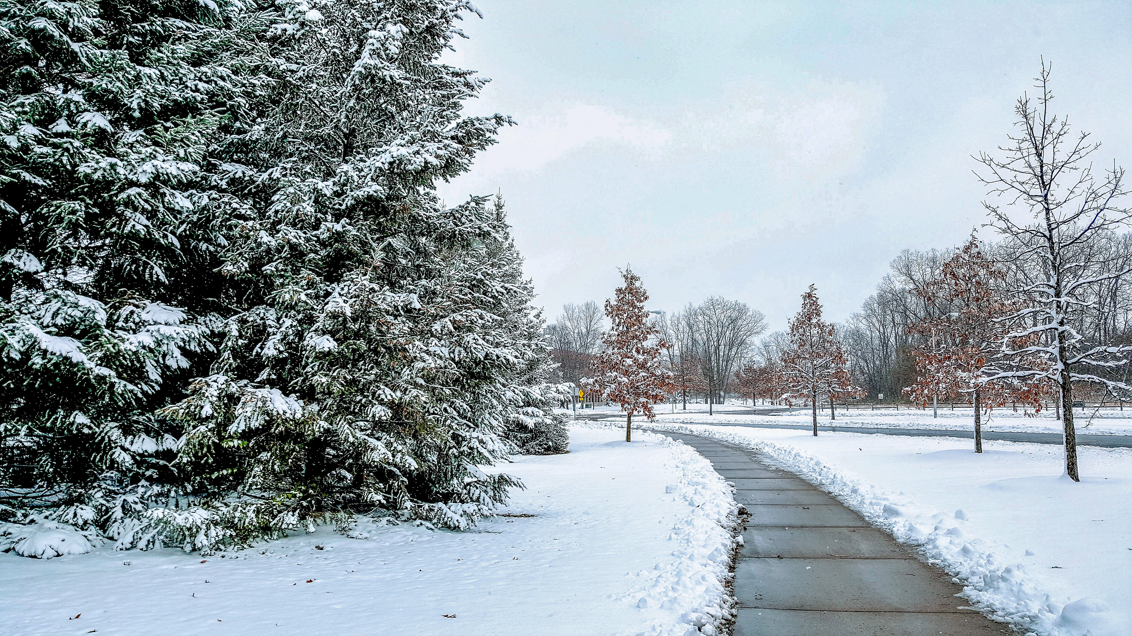 The Path (Michigan State University Campus, MI)